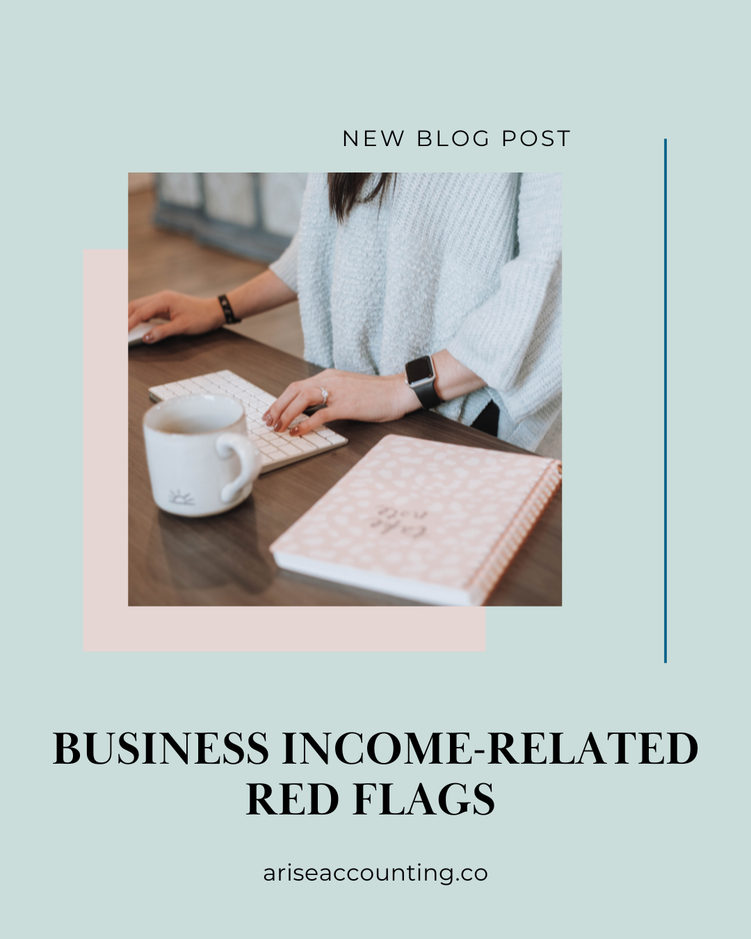 Business Income-Related Red Flags