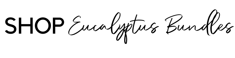 Timmy web titles (19).png