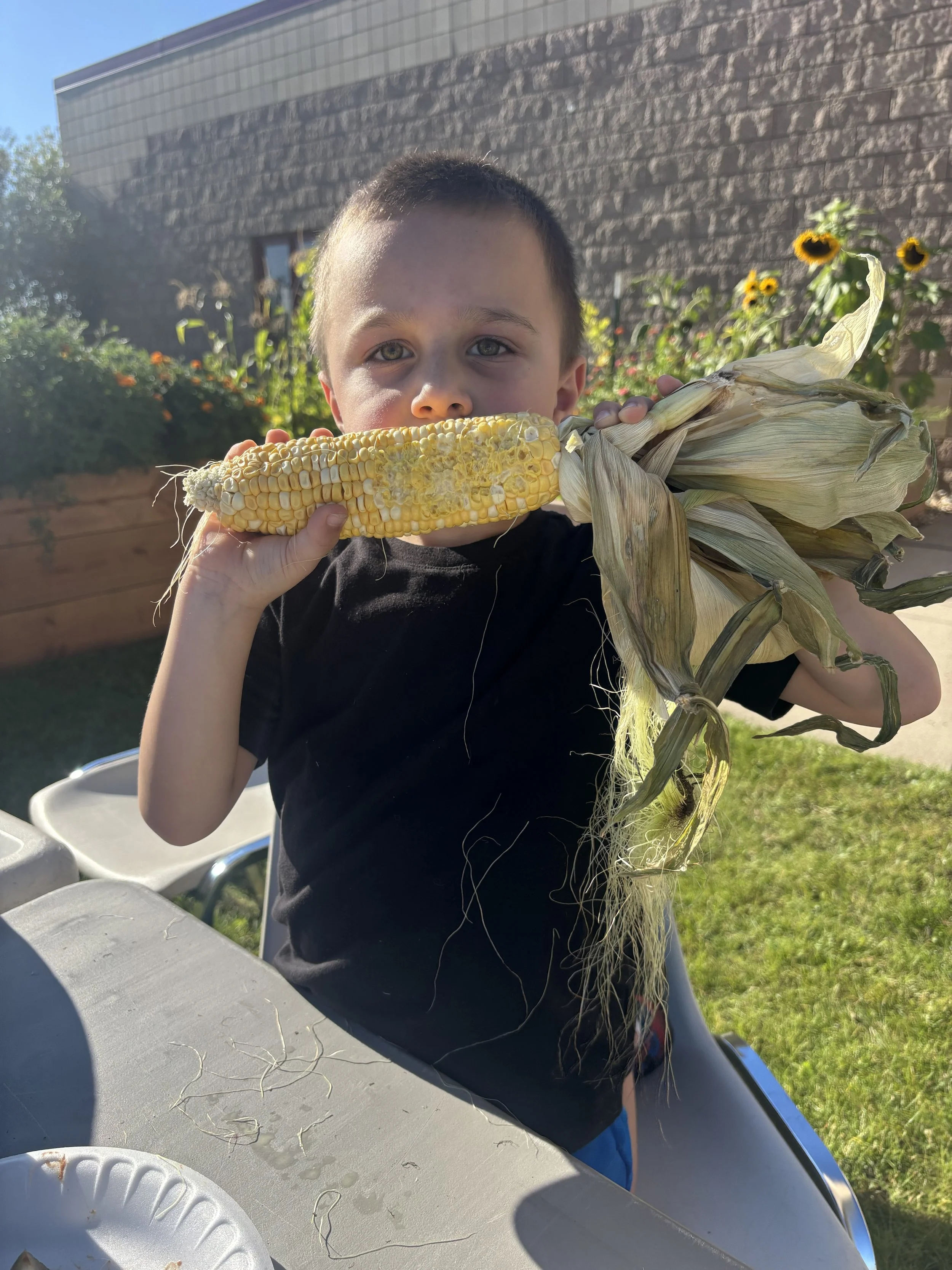 Food Sensory Issues at School Lunch and What to Do at Home