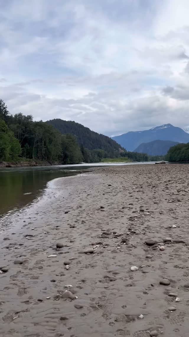 The Rythym
Find your flow
@chipewyandene
#indigenousteacher #chipewyandene #mountainshamanism #circadianrhythm #river #natural