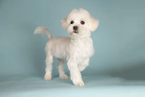 IMG_8936-Edit (1).jpg