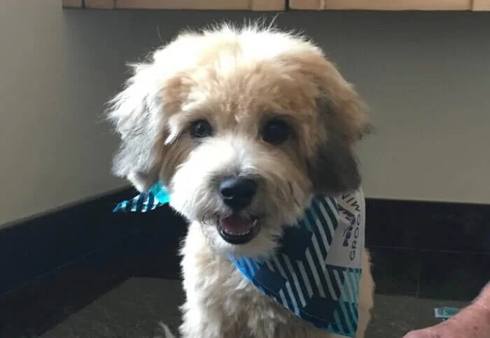 Would recommend to anyone