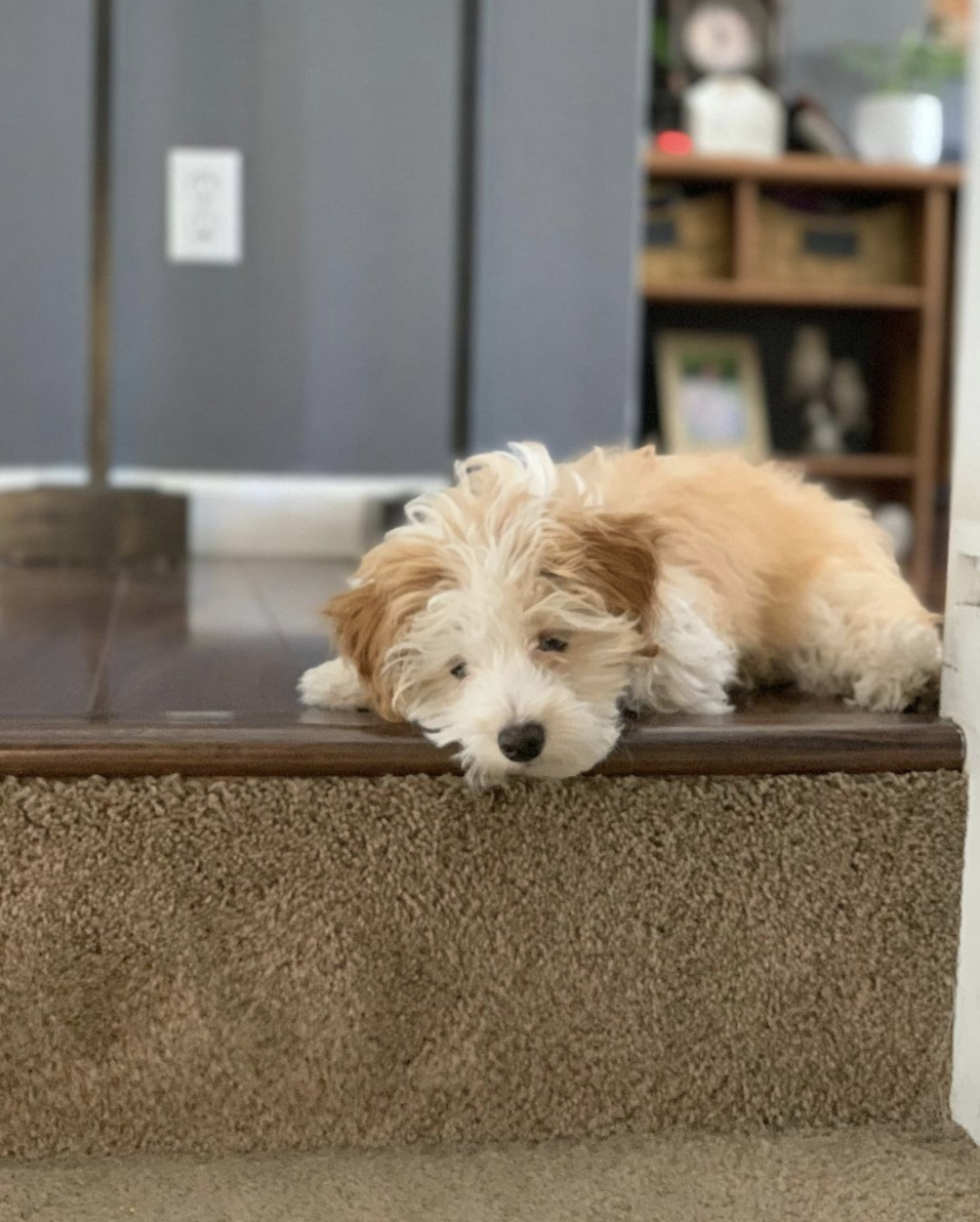 Marlene made the process very easy and simple