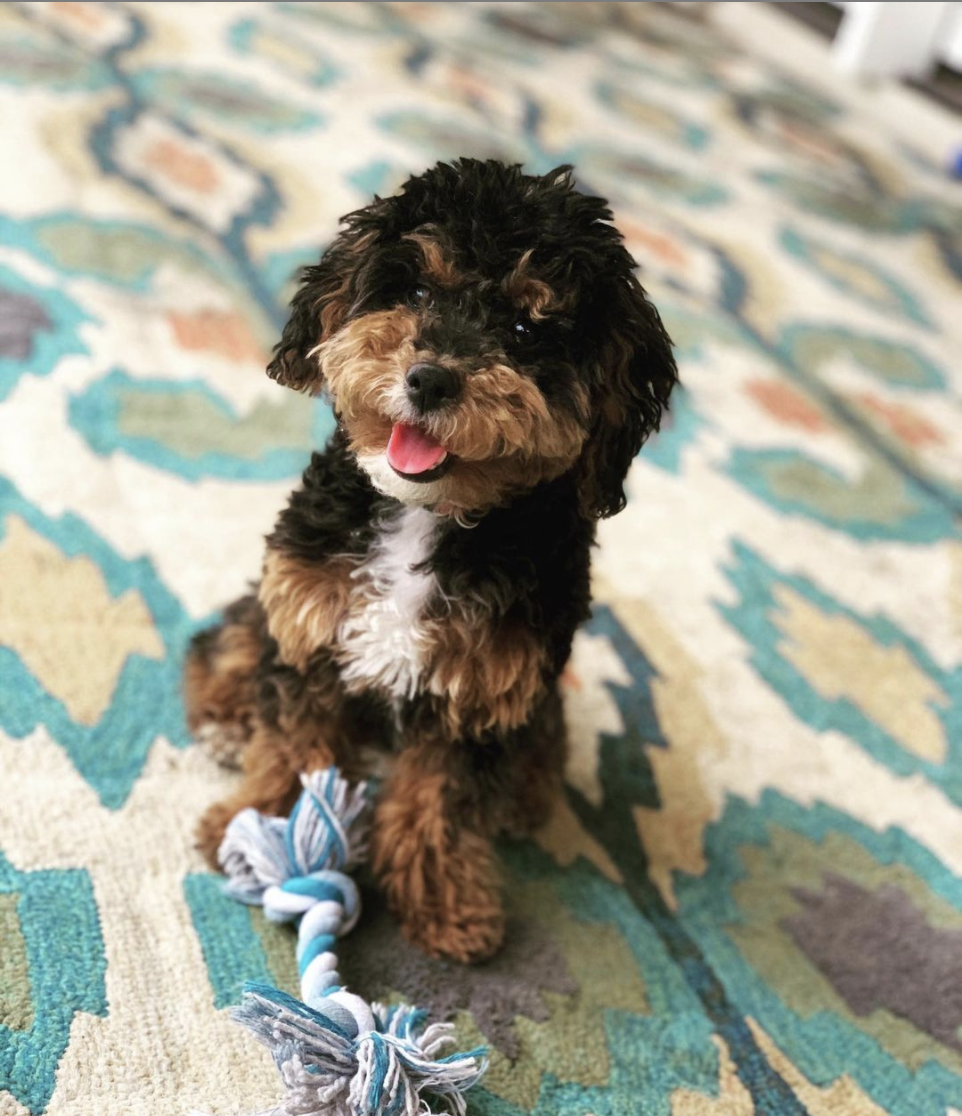 We could not be happier!