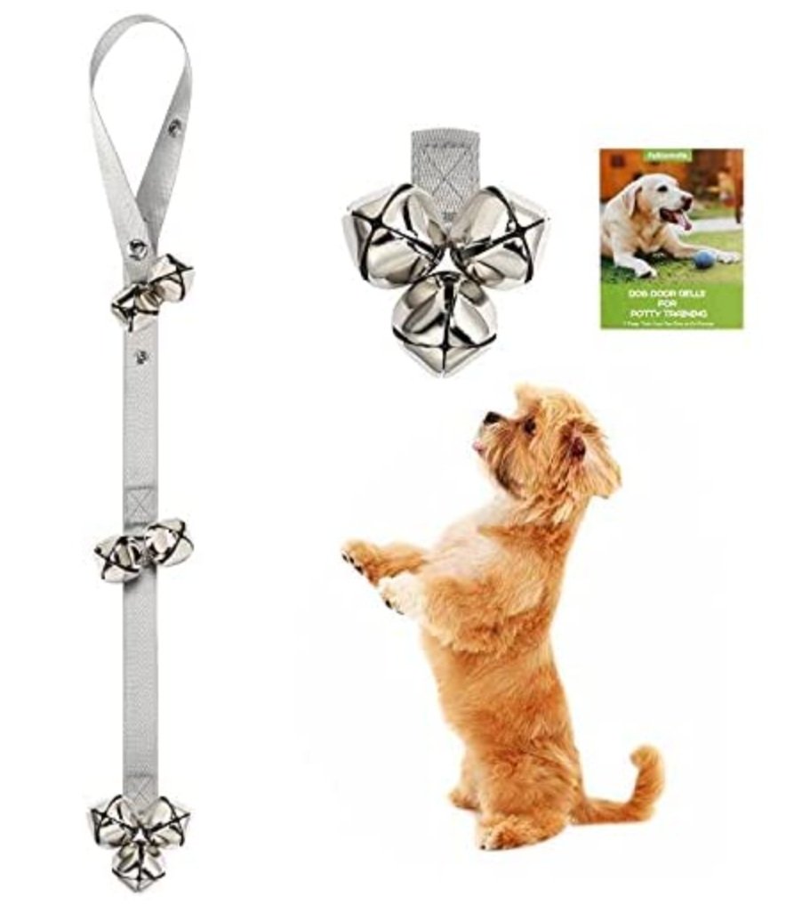 small maltipoo reaching up toward a dog potty doorbell