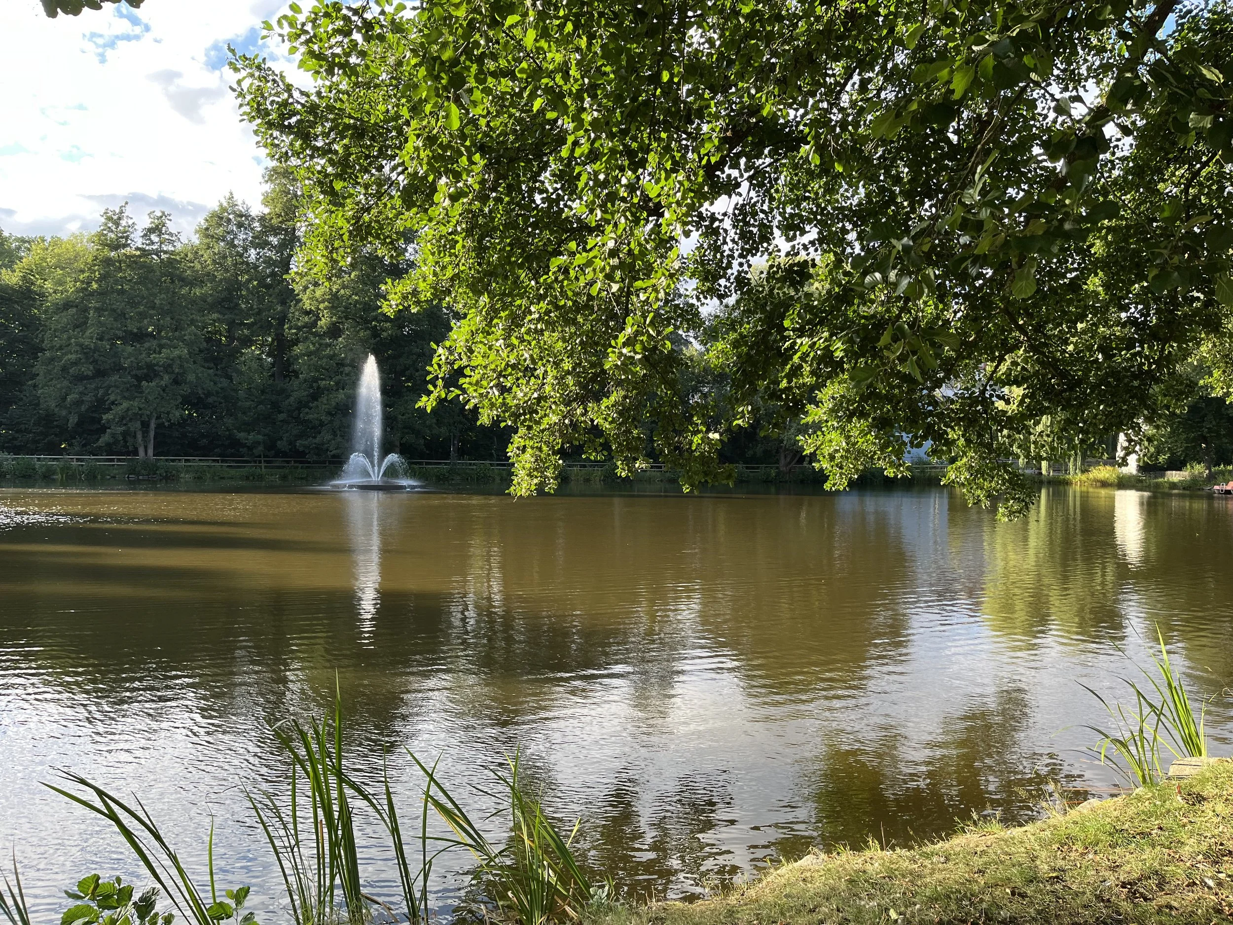 A peaceful lake with a fountain in the center, surrounded by green trees and grass, under a partly cloudy sky.