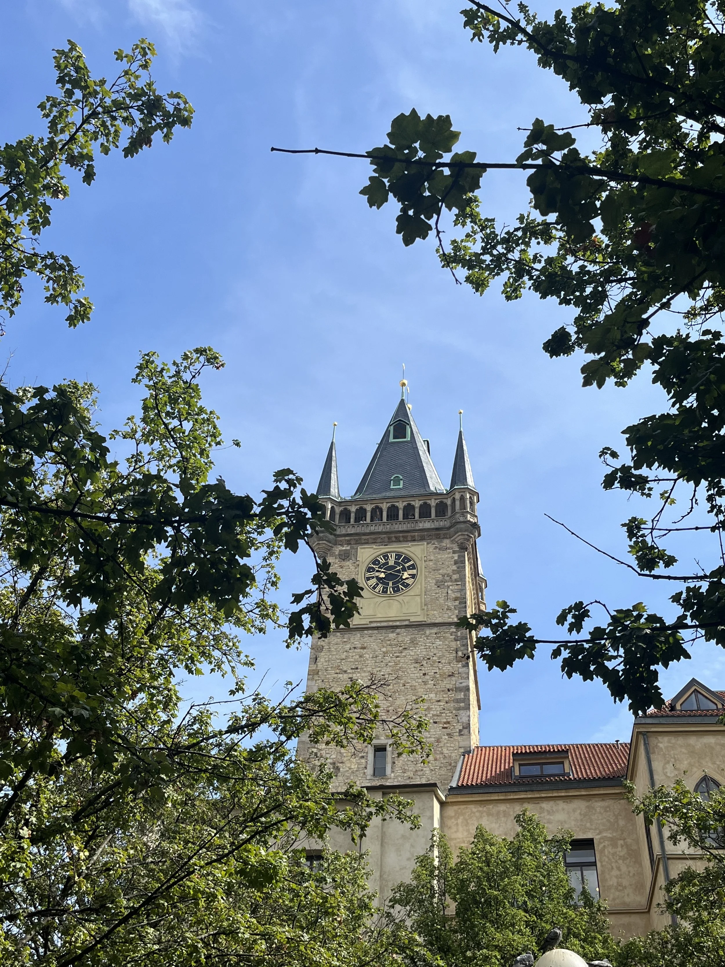 A tall historic clock tower with a pointed spire, surrounded by green trees and under a clear blue sky.