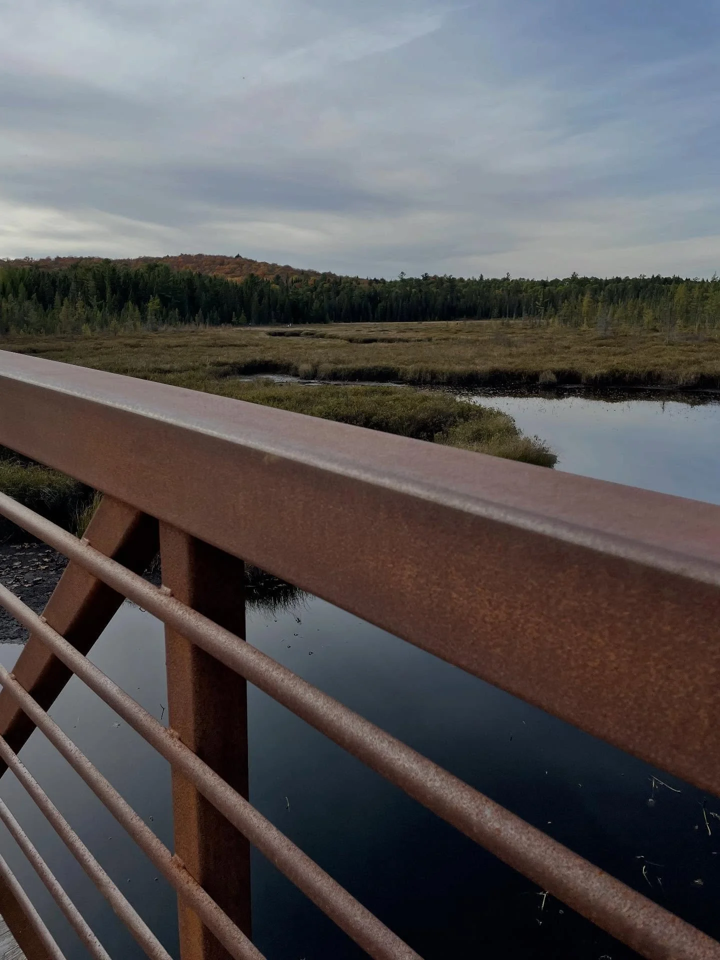#rustredandgreen #green #rostrot #rostigebr&uuml;cke #gr&uuml;n #rustred #greenstudioturnsrustred #herbst #fall #autumn #algonquin #rustic #seasoncolour