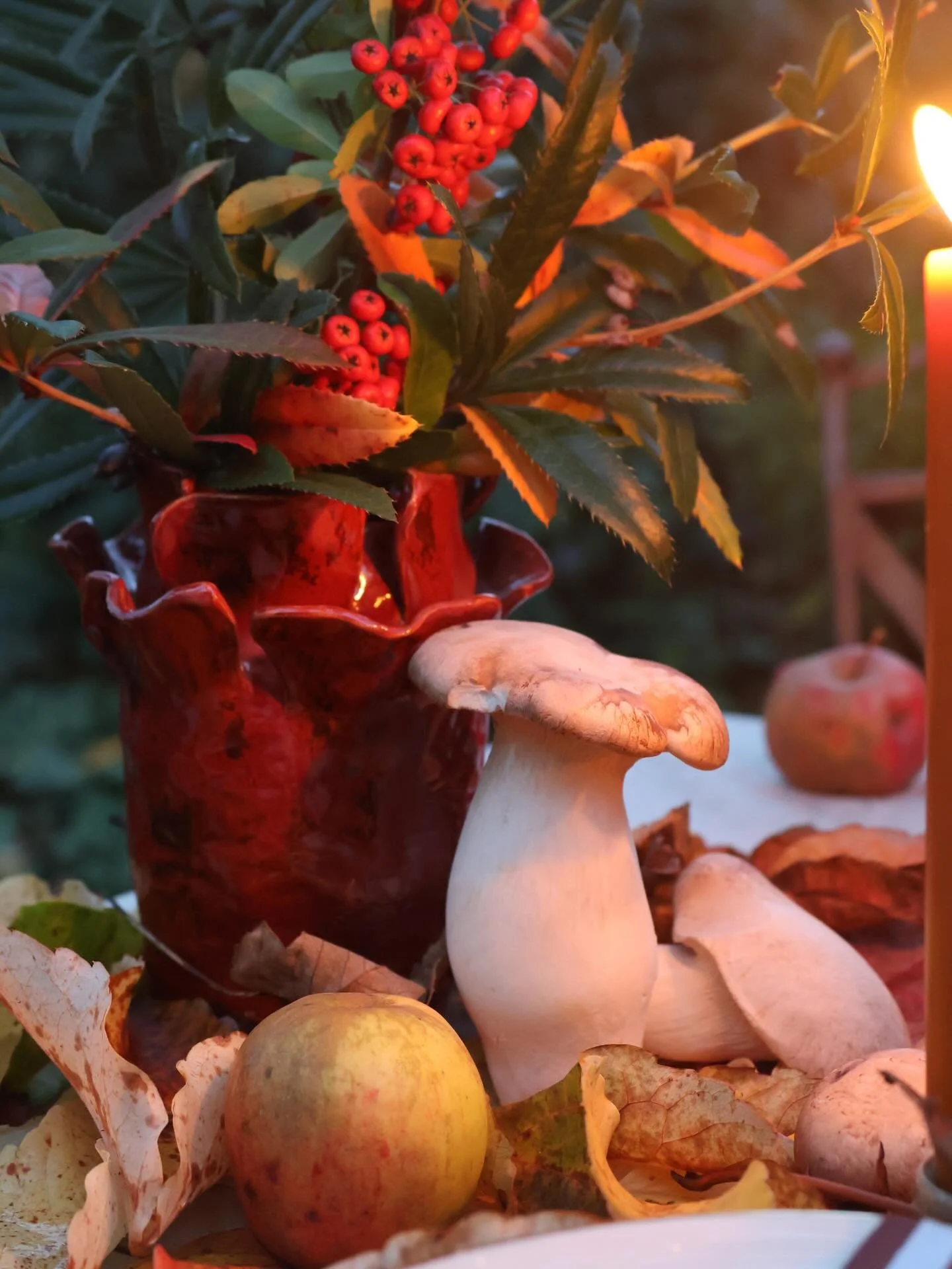 We&lsquo;re already heading towards winter when not even a month ago we had this fun tablesetting in our backyard. Let me know if you&lsquo;re interested in @daveyhews receipe for pumpkin soup with a twist (just saying chilli bean sauce) to get rid o