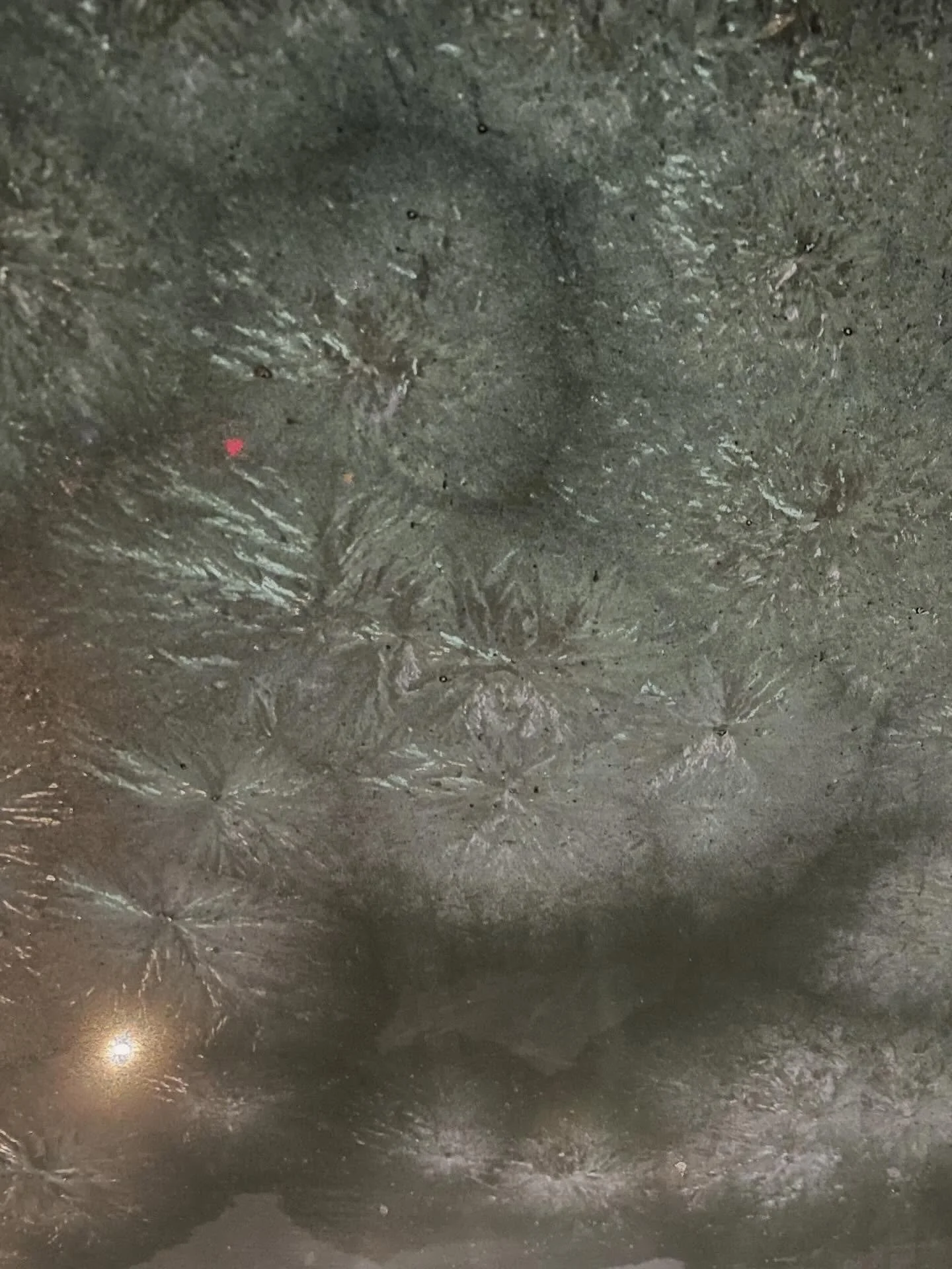 #frozen #mint #frostig #seasoncolour #minzgr&uuml;n