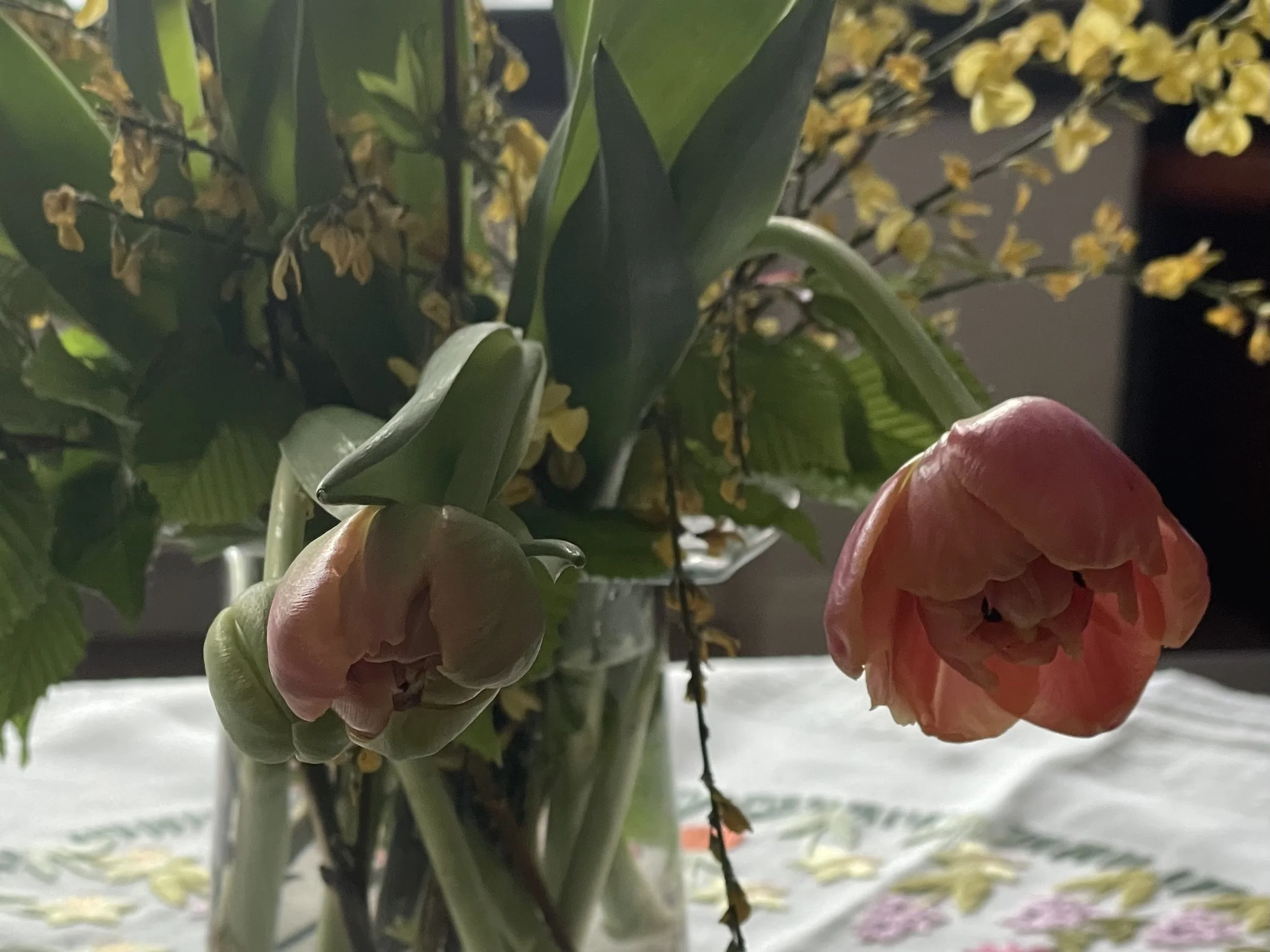 Vom Farbcode #FFA66B, französischen Aprikosen Tartes und pudrigen Narzissen