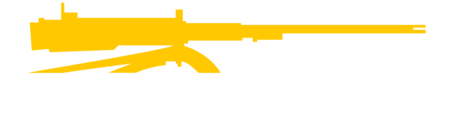 SHERIDAN ARMS LLC.