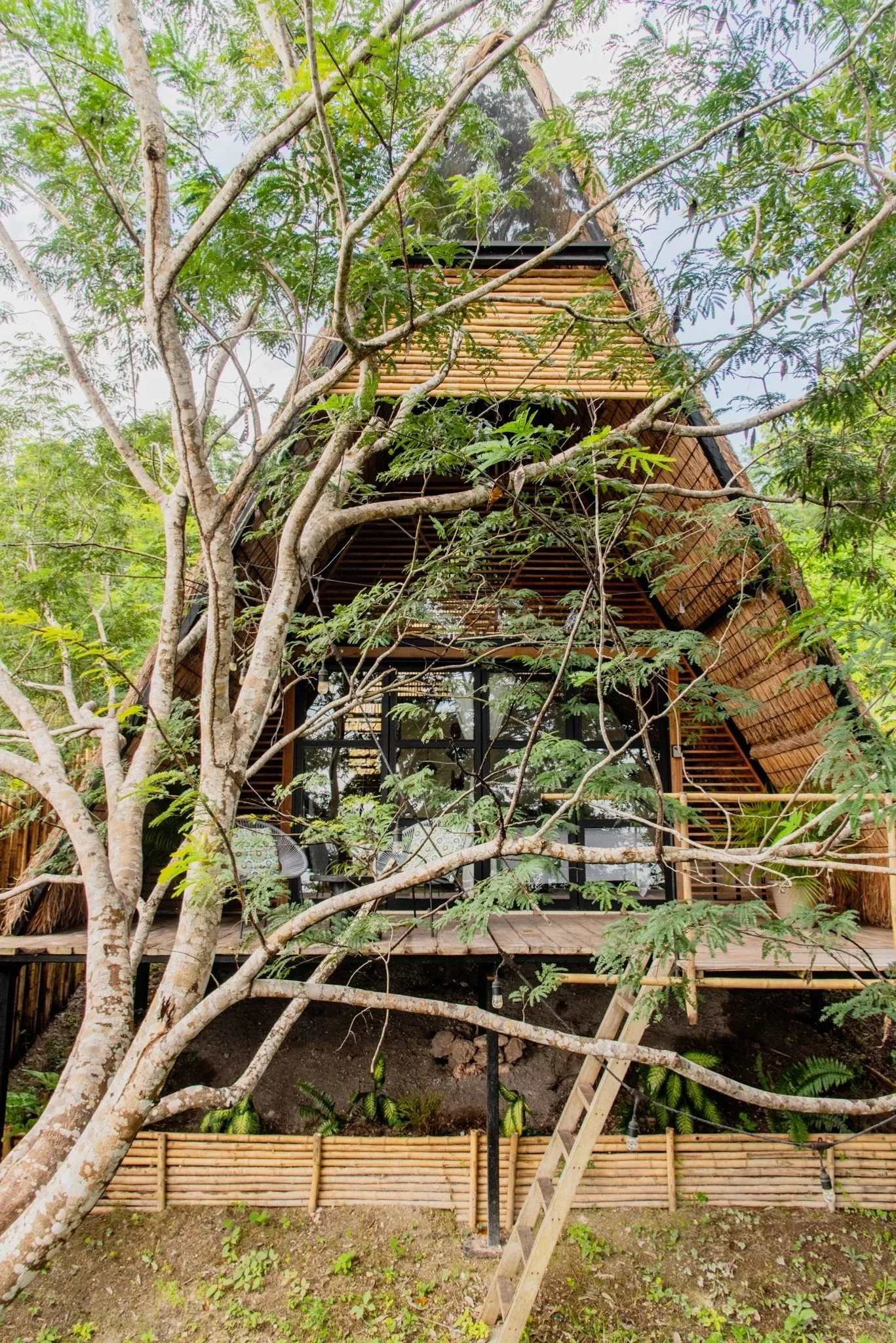 AMARU - Frente de Laguna