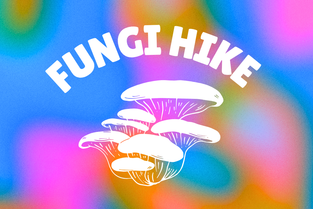 Fungi Hike and Mushroom Growing! (Maryland)
