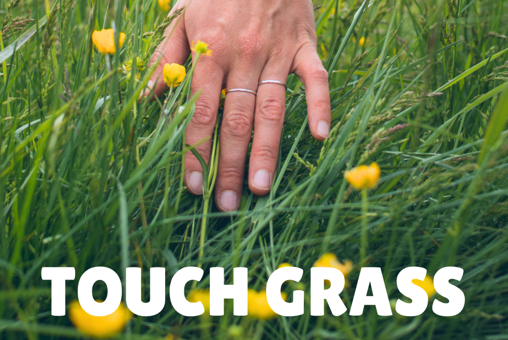 Touch Grass ... and Eat it? (Eldersburg, MD)