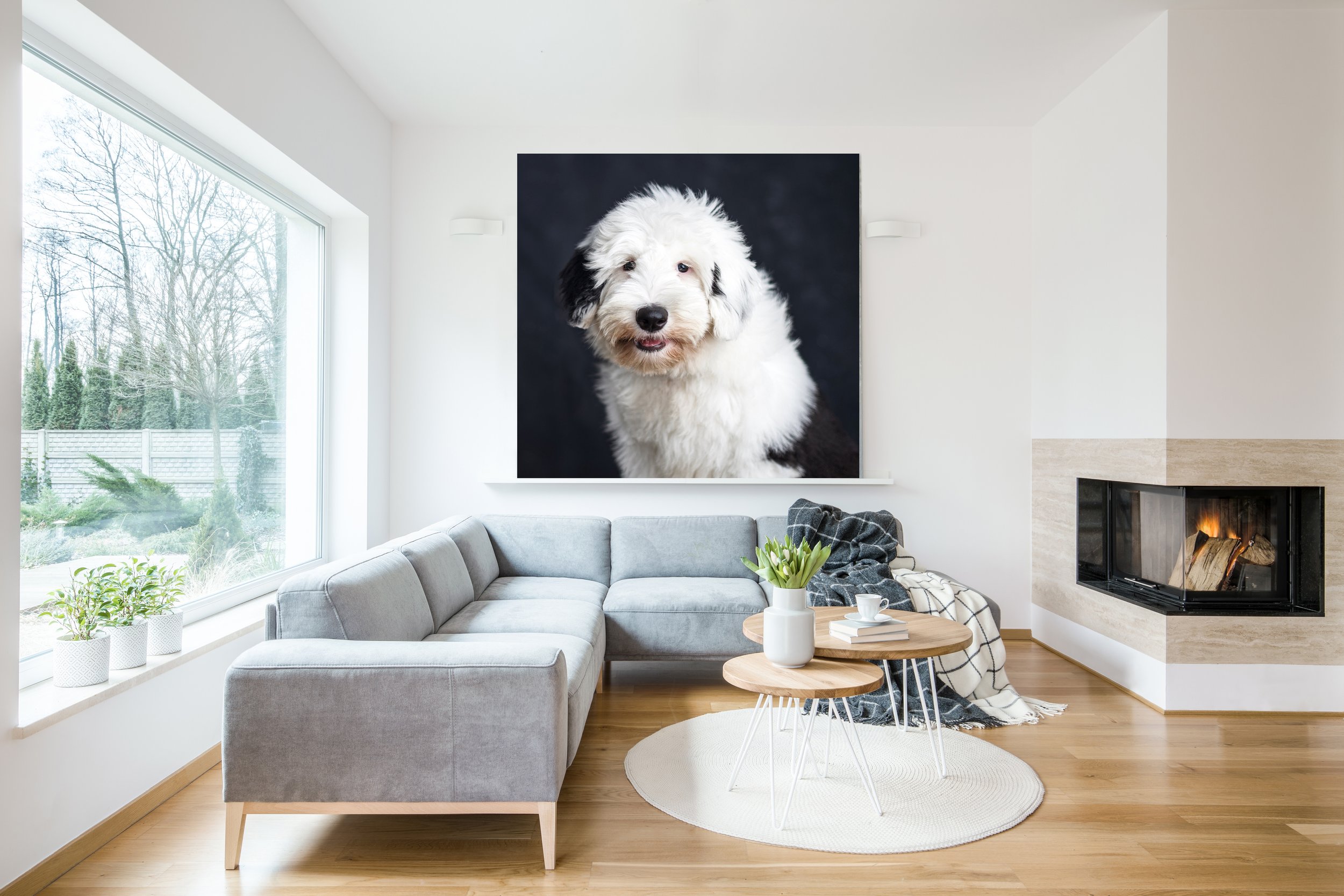Why you’ll totally regret having artwork done of your pet