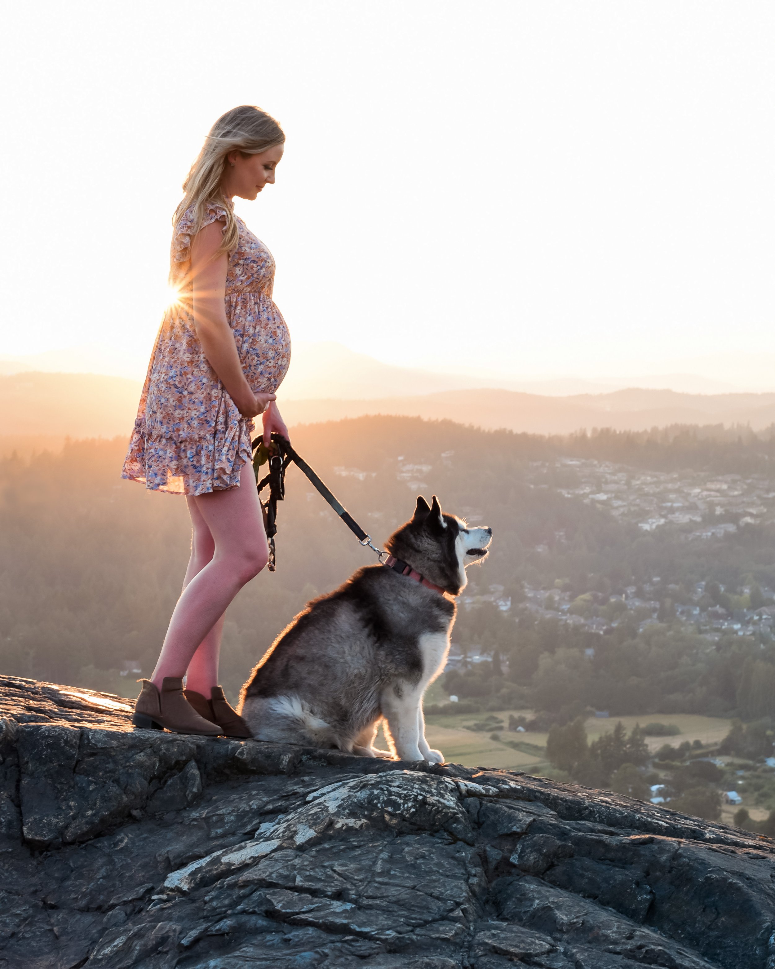 Dog photoshoot at Mt. Doug in Victoria, BC