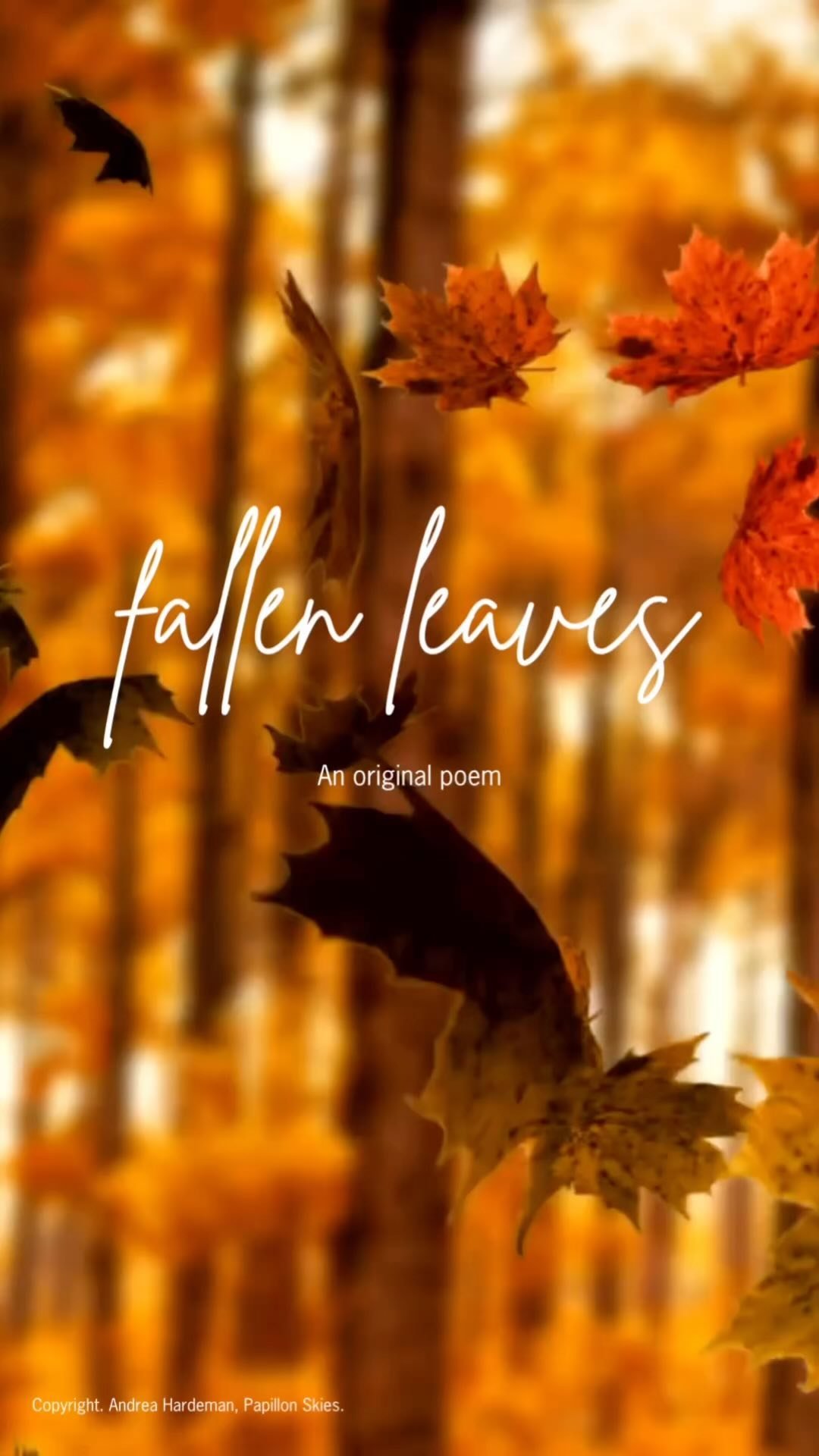 🍂🍁🍂
.
.
.
#poetry #originalpoetry #fallenleaves
