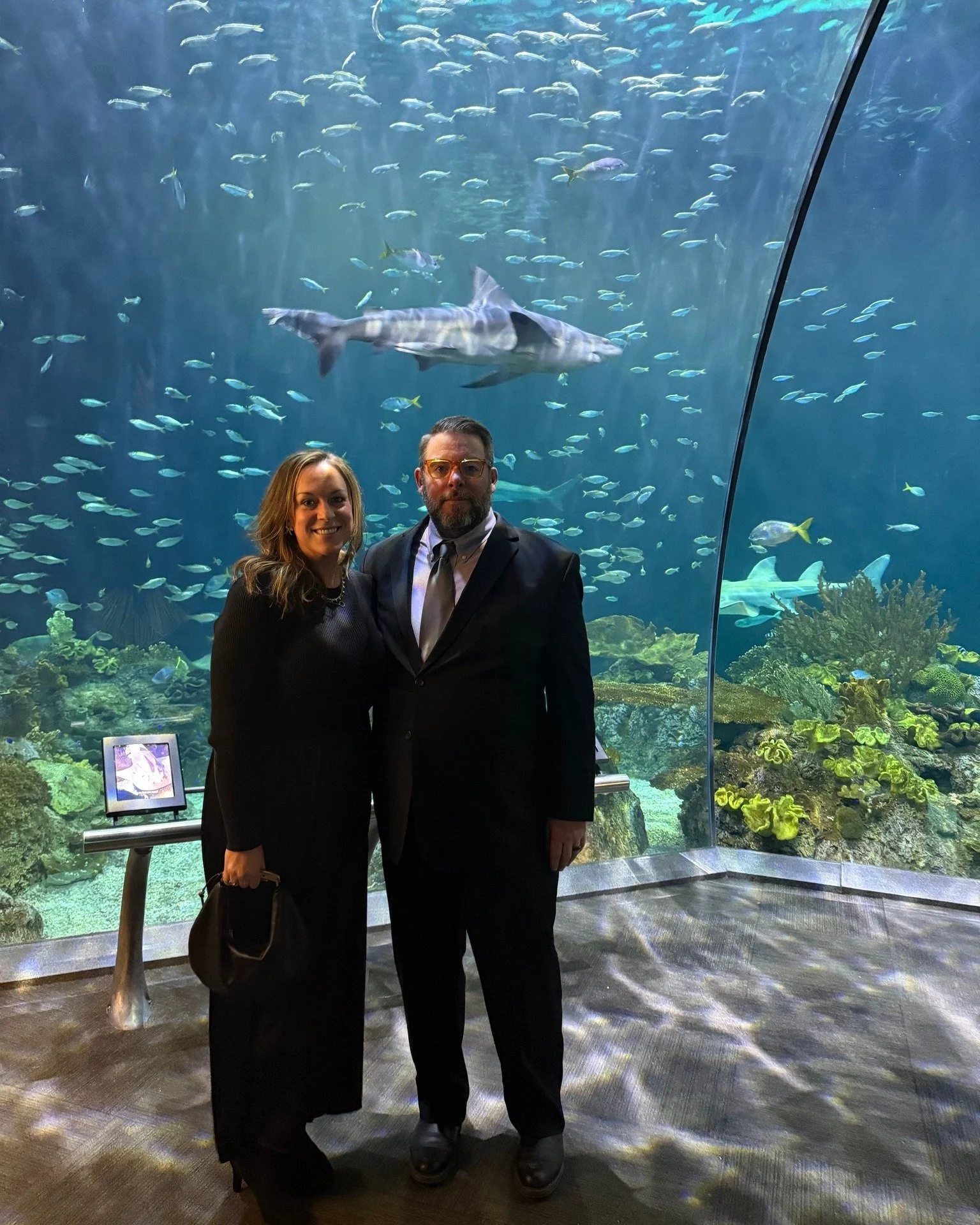 A huge thank you to the Mechanical Contractors Association of Chicago for a memorable Holiday Party at Chicago&rsquo;s iconic Shedd Aquarium. An incredible venue, great company, and the chance to get up close with sharks and penguins made for a truly