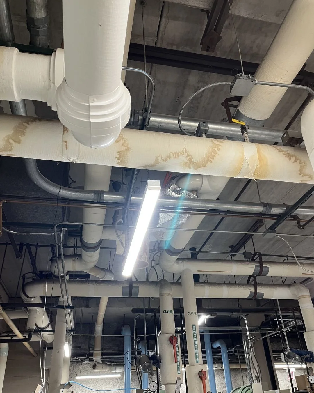 F.H. Paschen Chiller Mechanical Autumn Construction (1).jpg