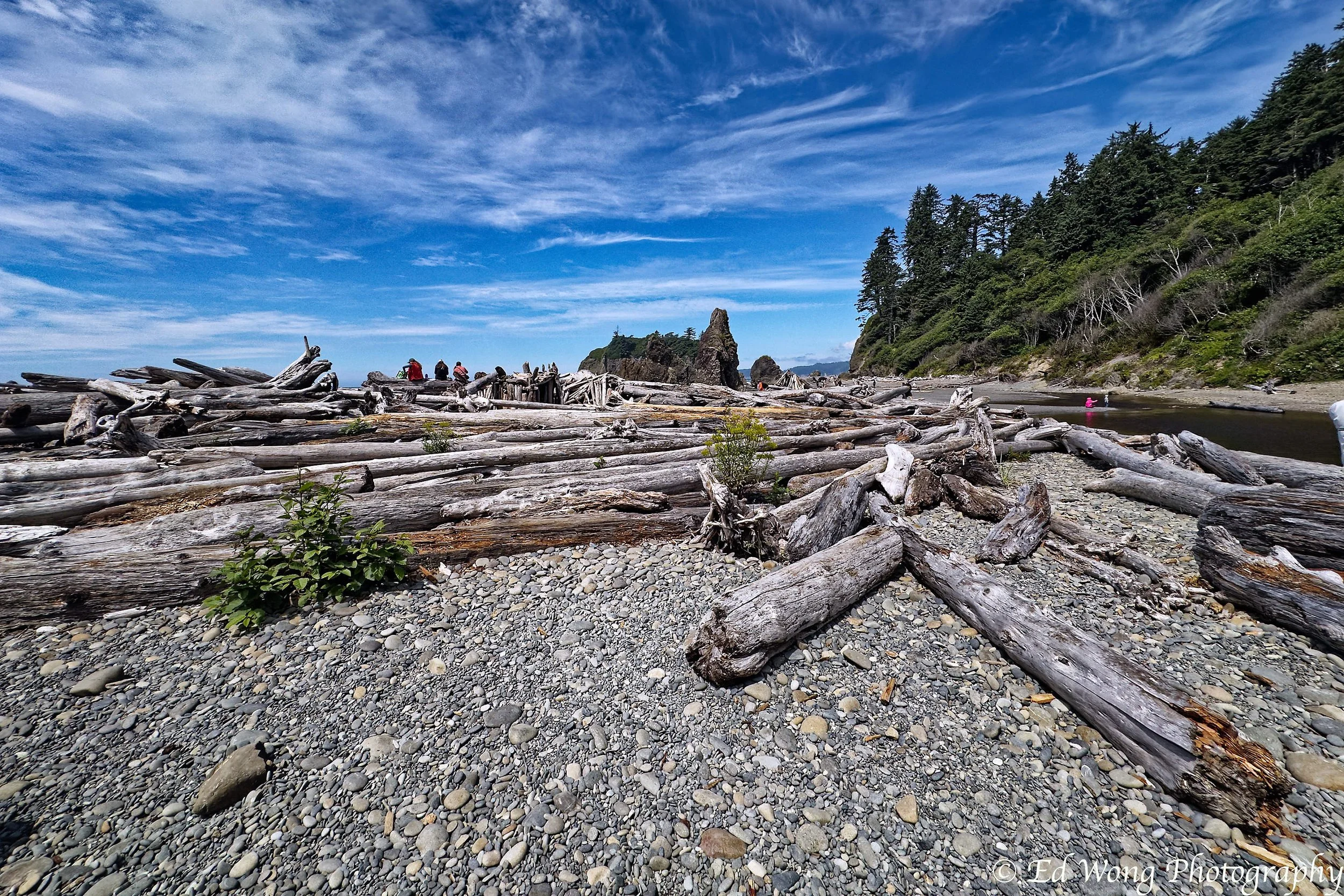 IMG_0922_DxO.jpg