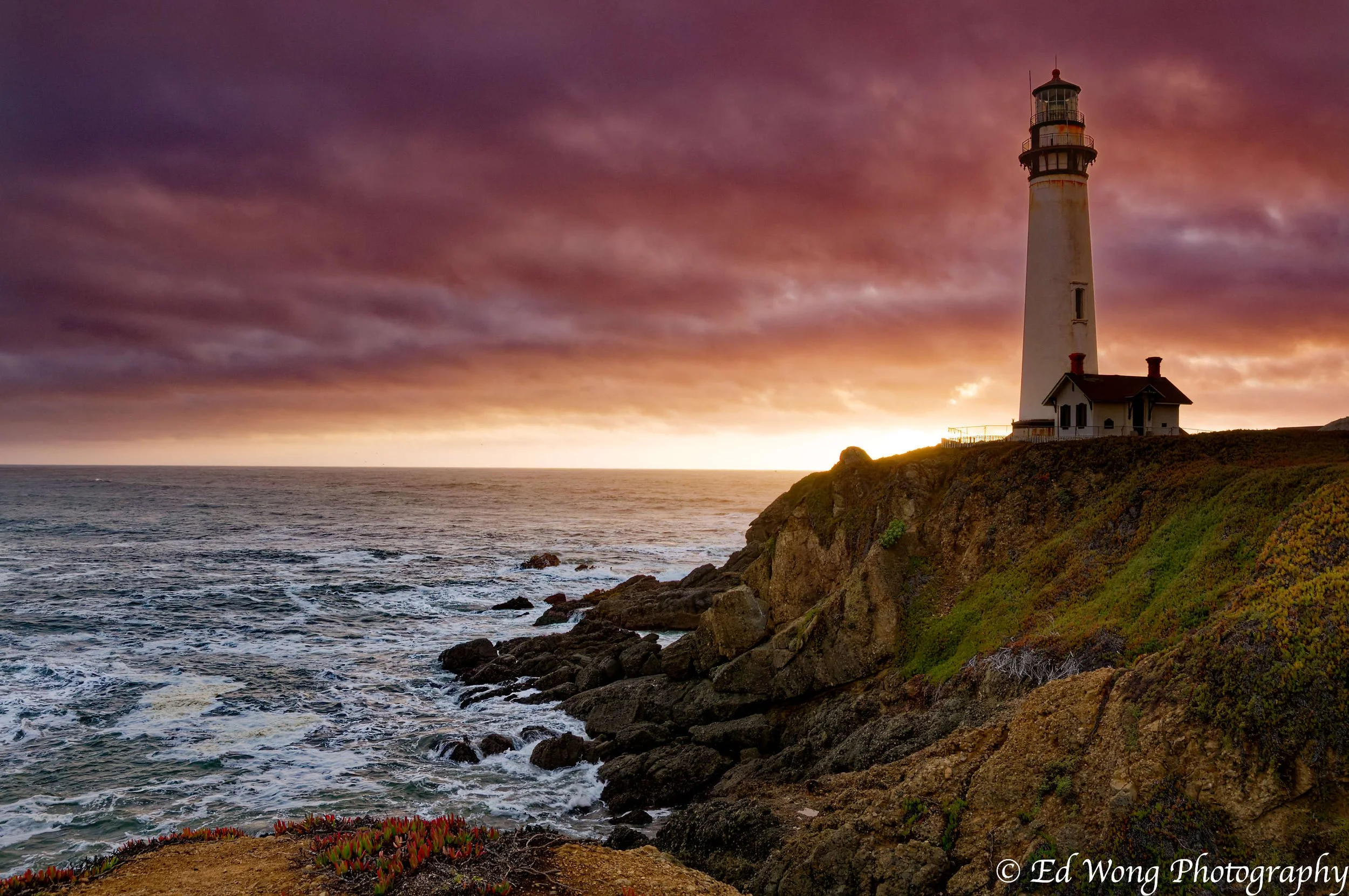 DSC_7563_DxO.jpg