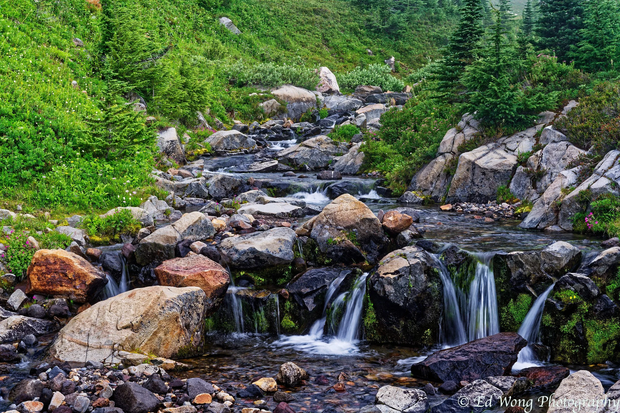 DSC_2312_DxO.jpg