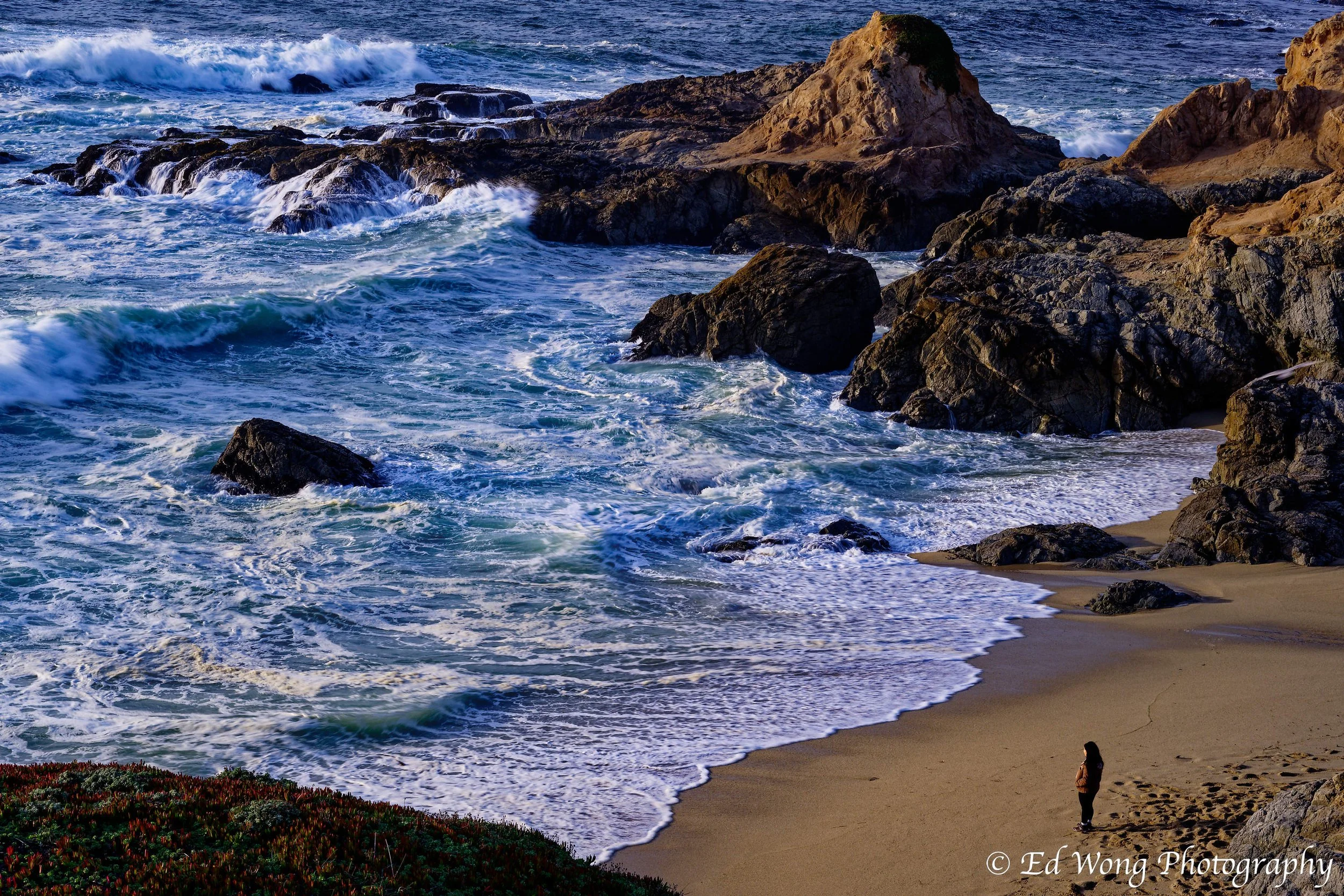 DSC_9501_DxO.jpg