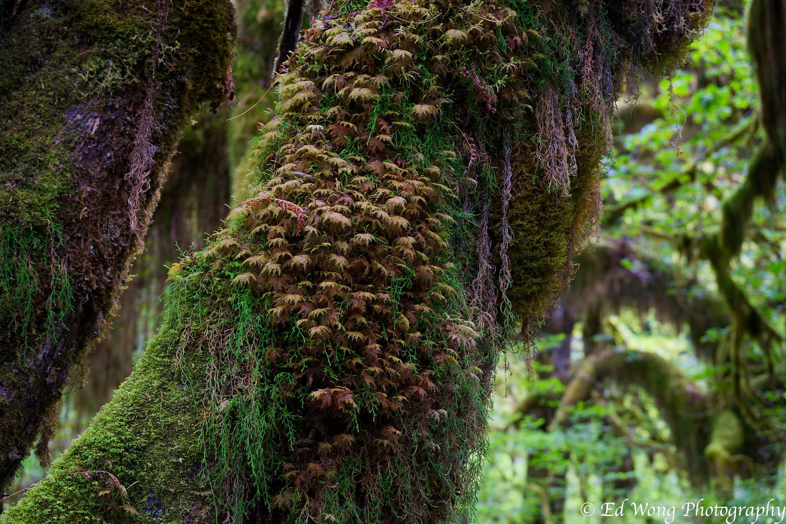 DSC_2366_DxO.jpg