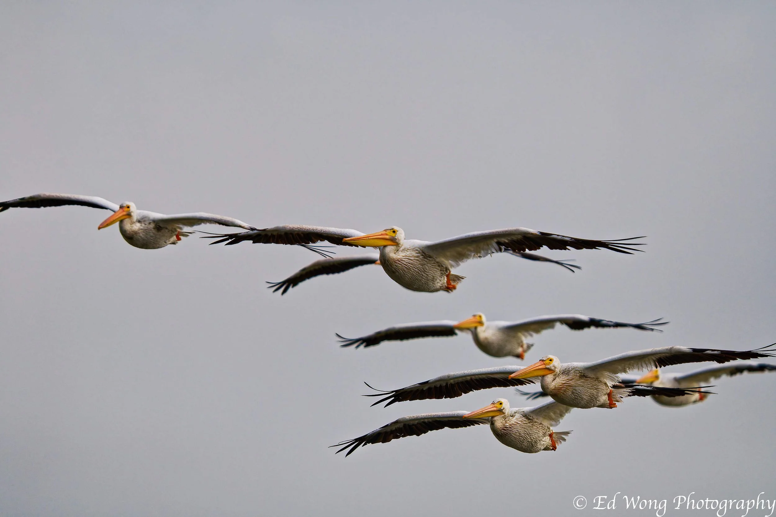 DSC_2937_DxO.jpg