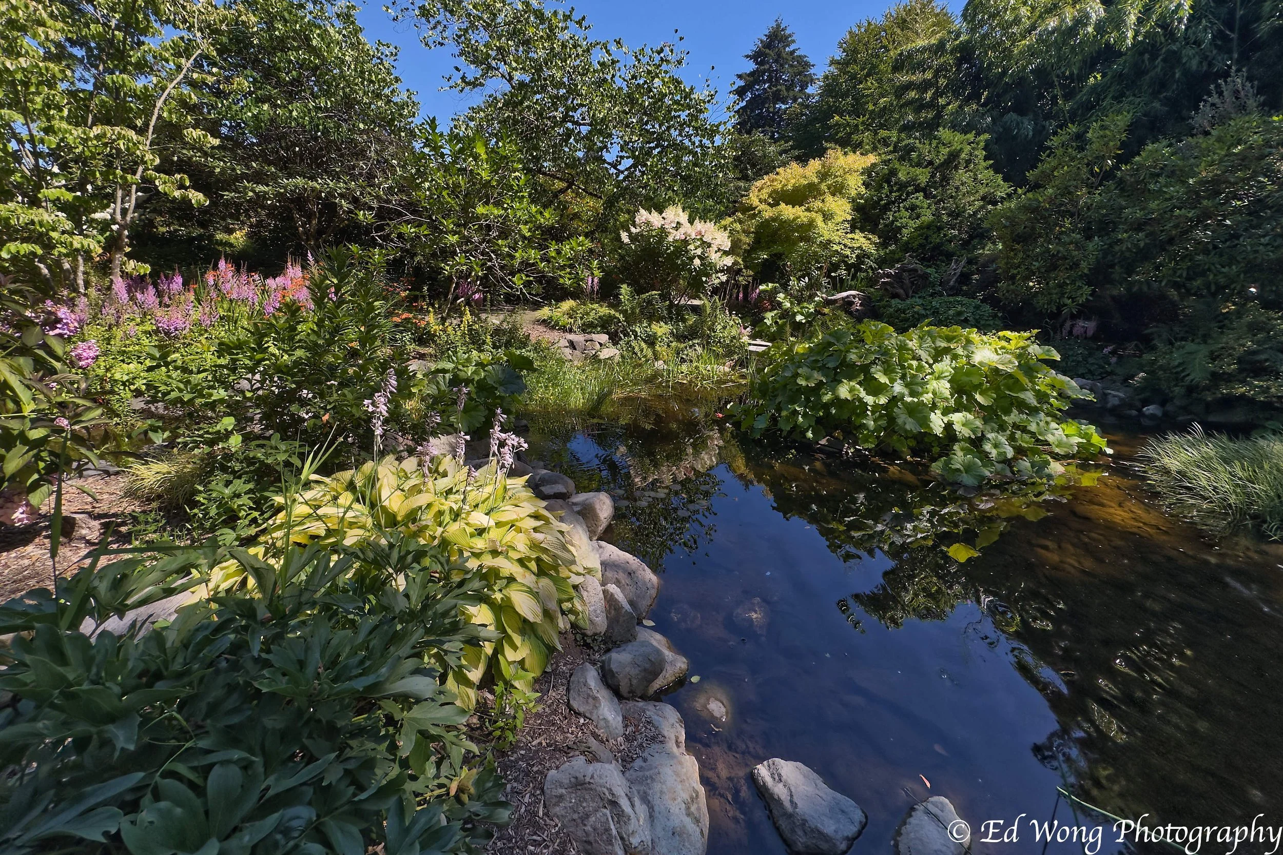 IMG_0932_DxO.jpg