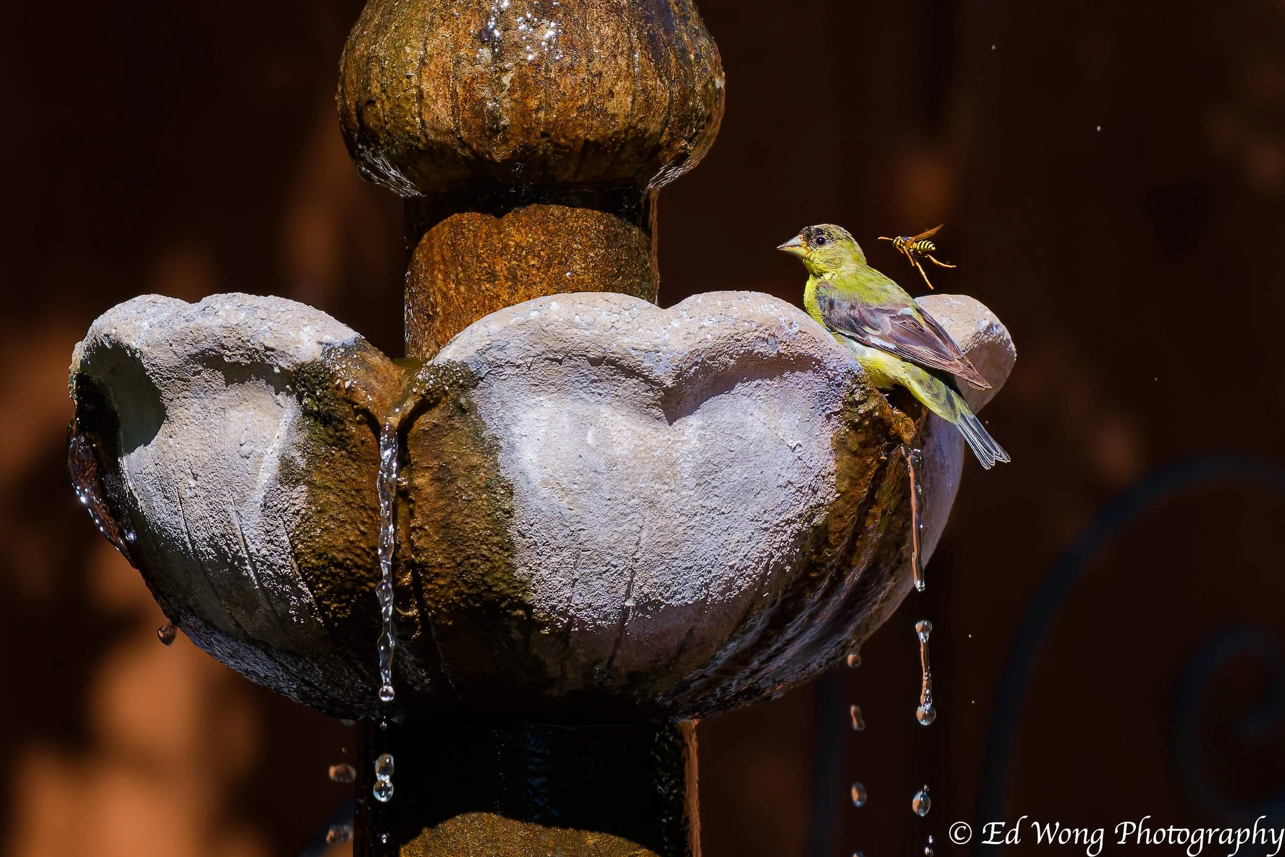 DSC_1743_DxO.jpg