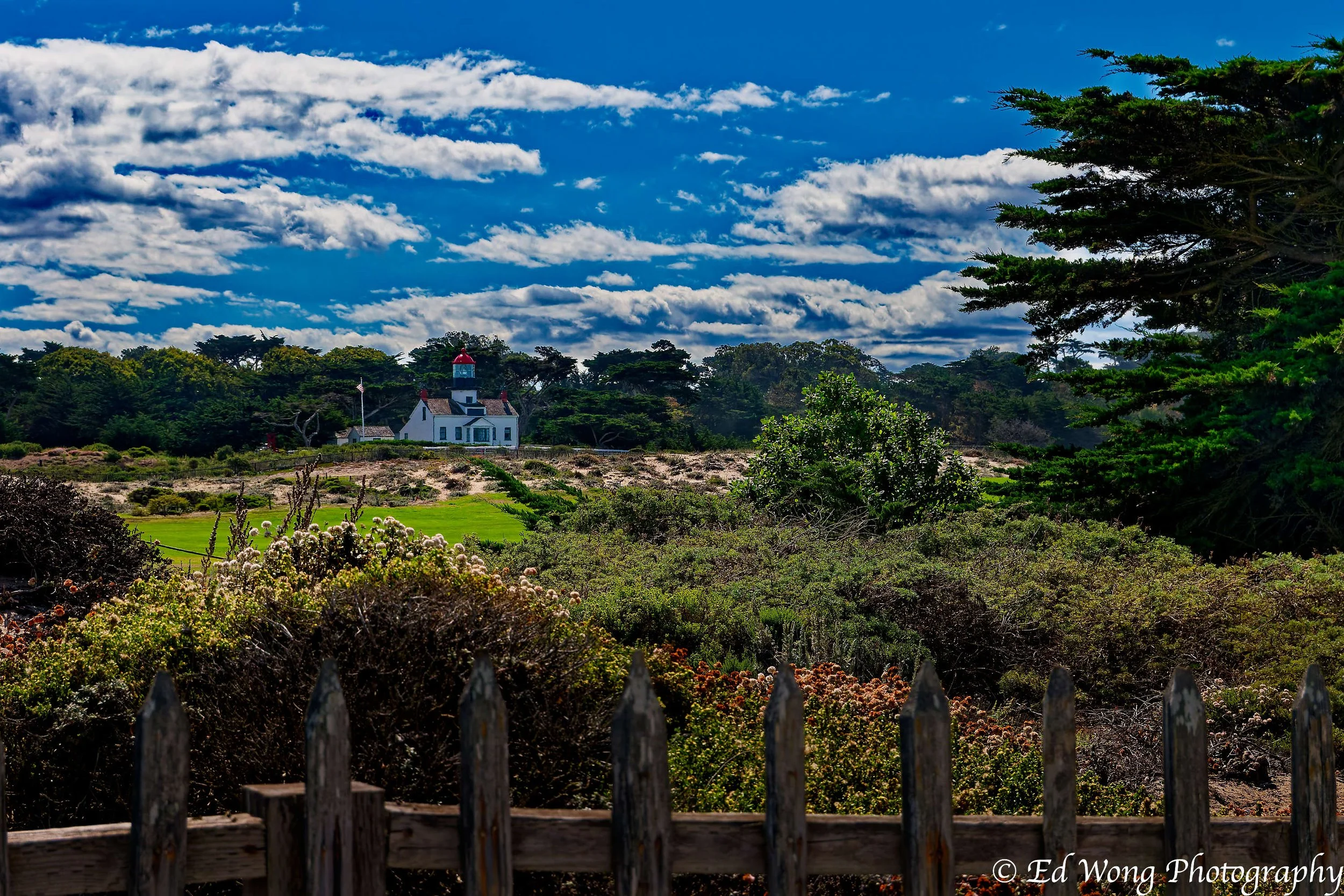 DSC_5683_DxO-1.jpg