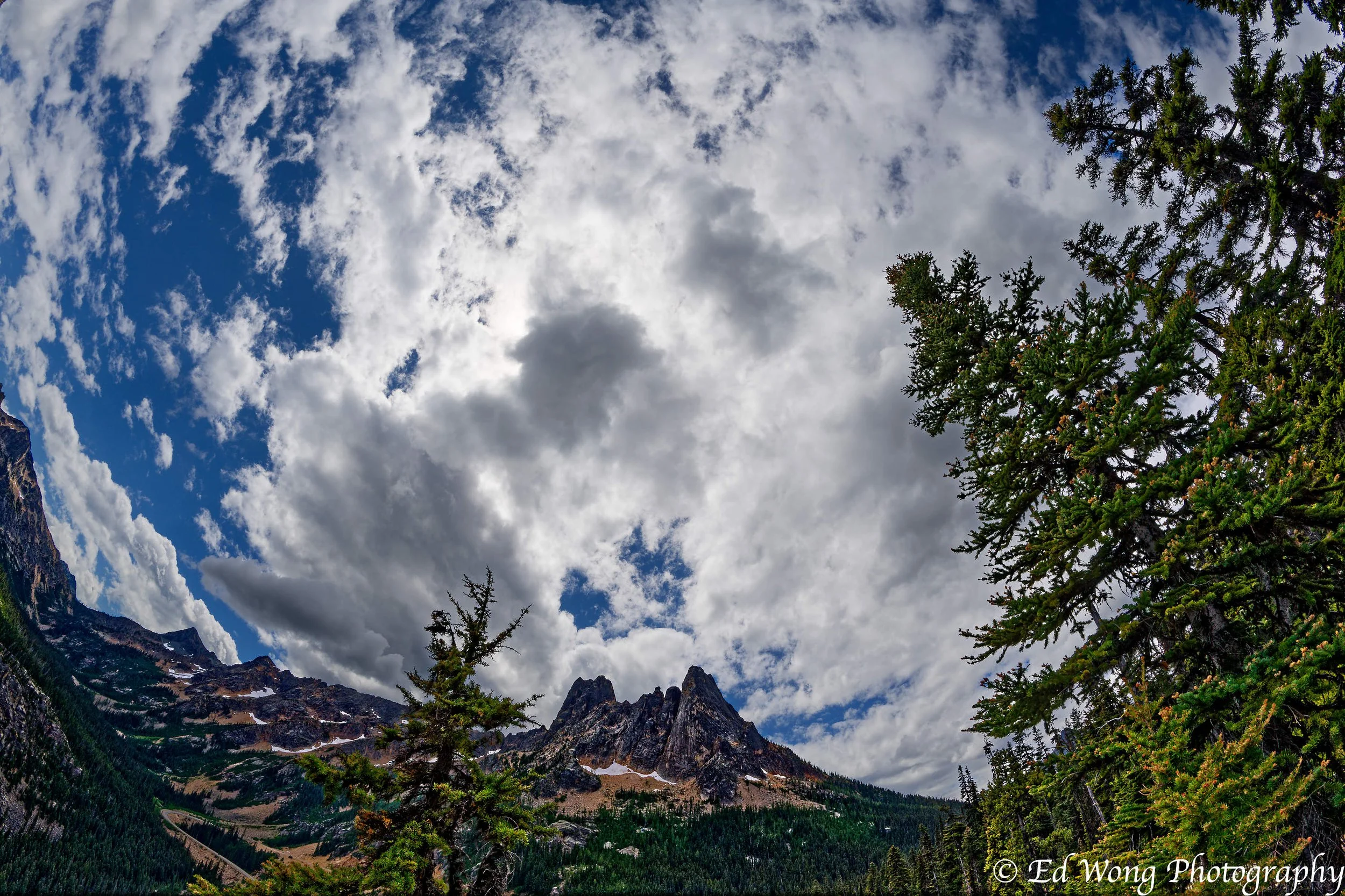 DSC_2272_DxO.jpg
