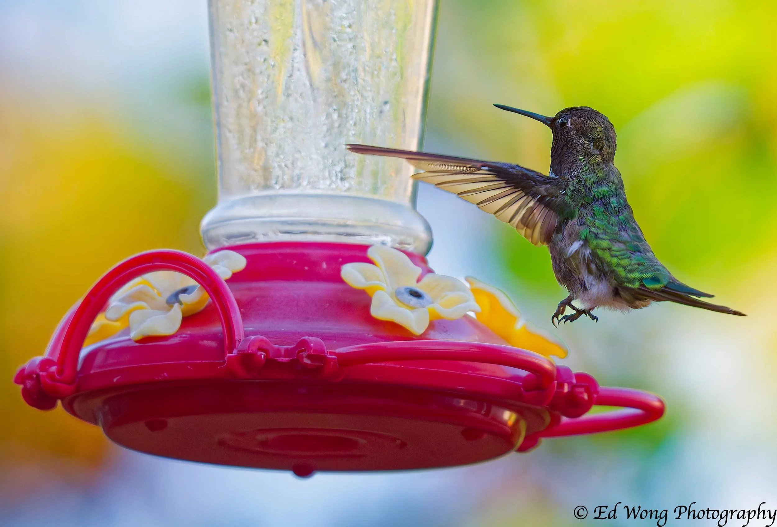 DSC_1959_DxO.jpg