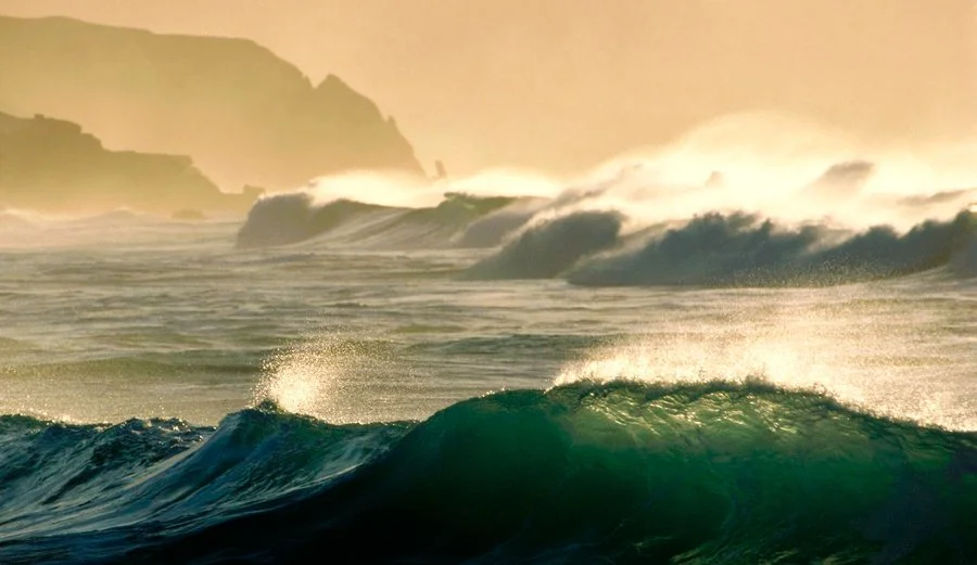 Embracing the Wave of Dialectics: The Transformative Power of DBT