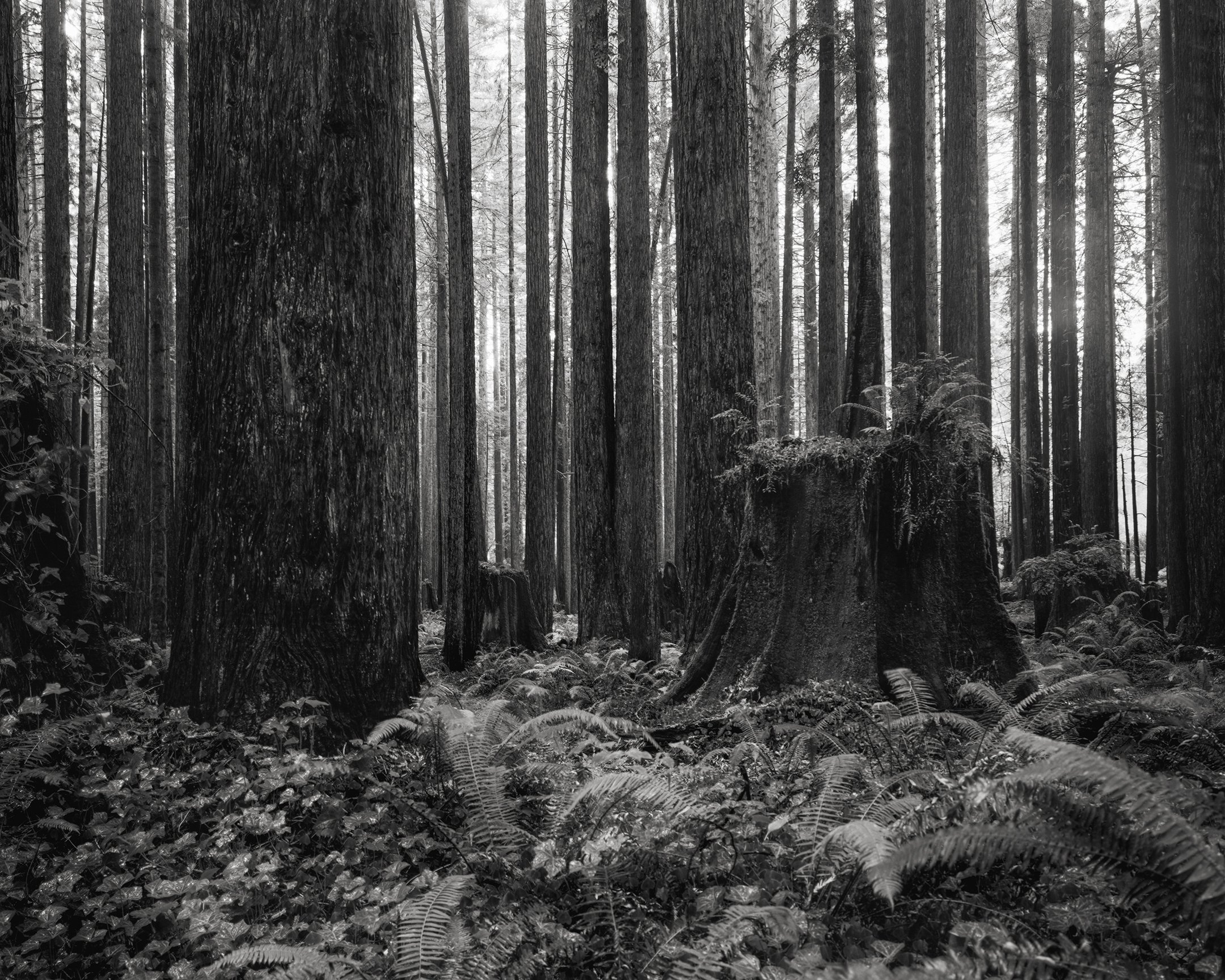 There Is A Wiser Way