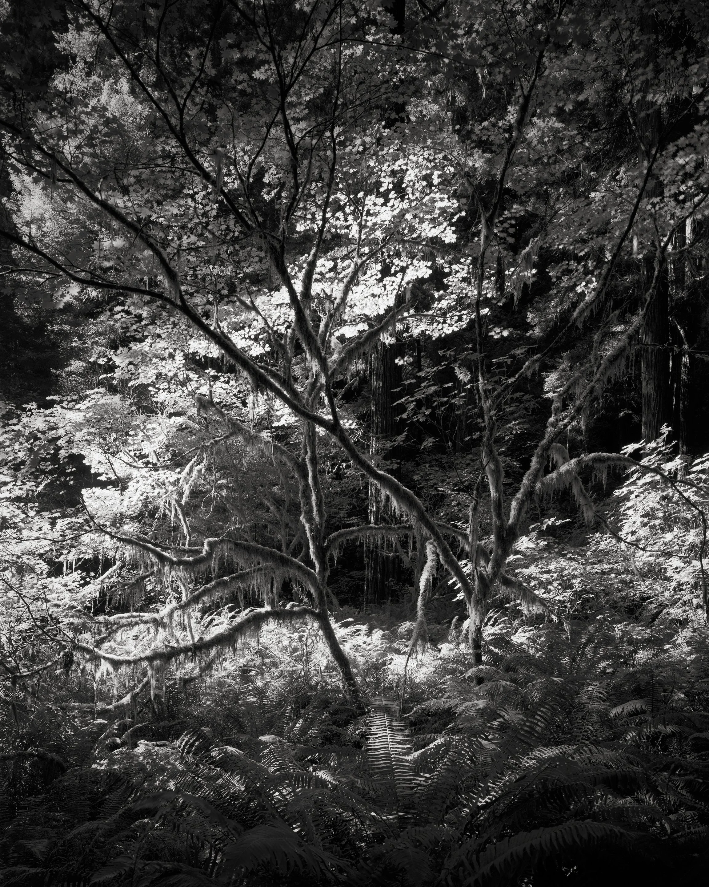 An Intimate, Infinite Dance