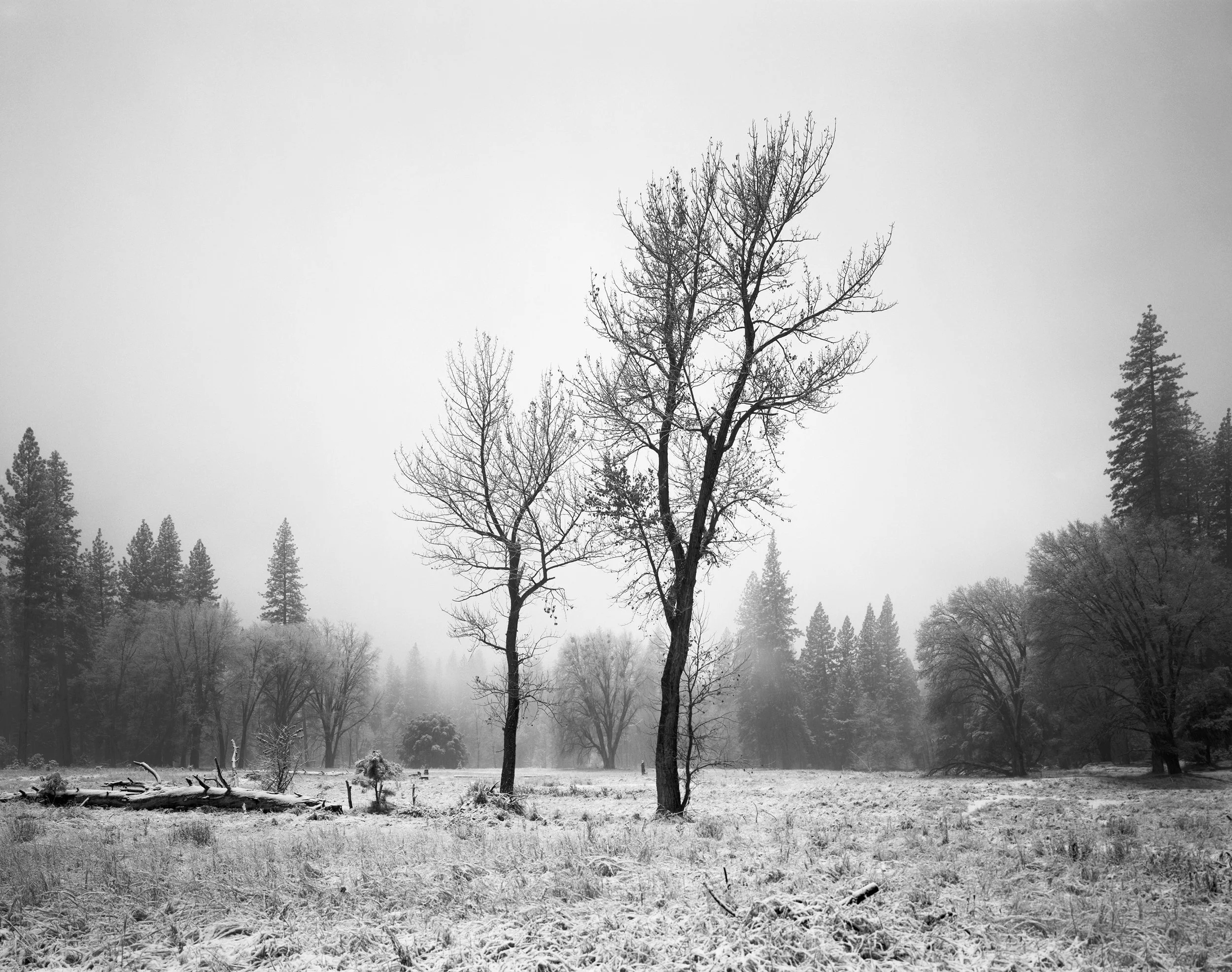 A Walk Between Father and Son
