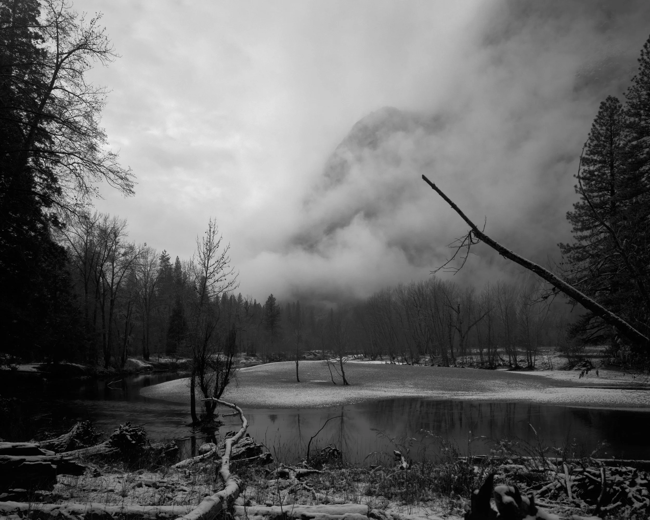 The Sacredness In The Clearing