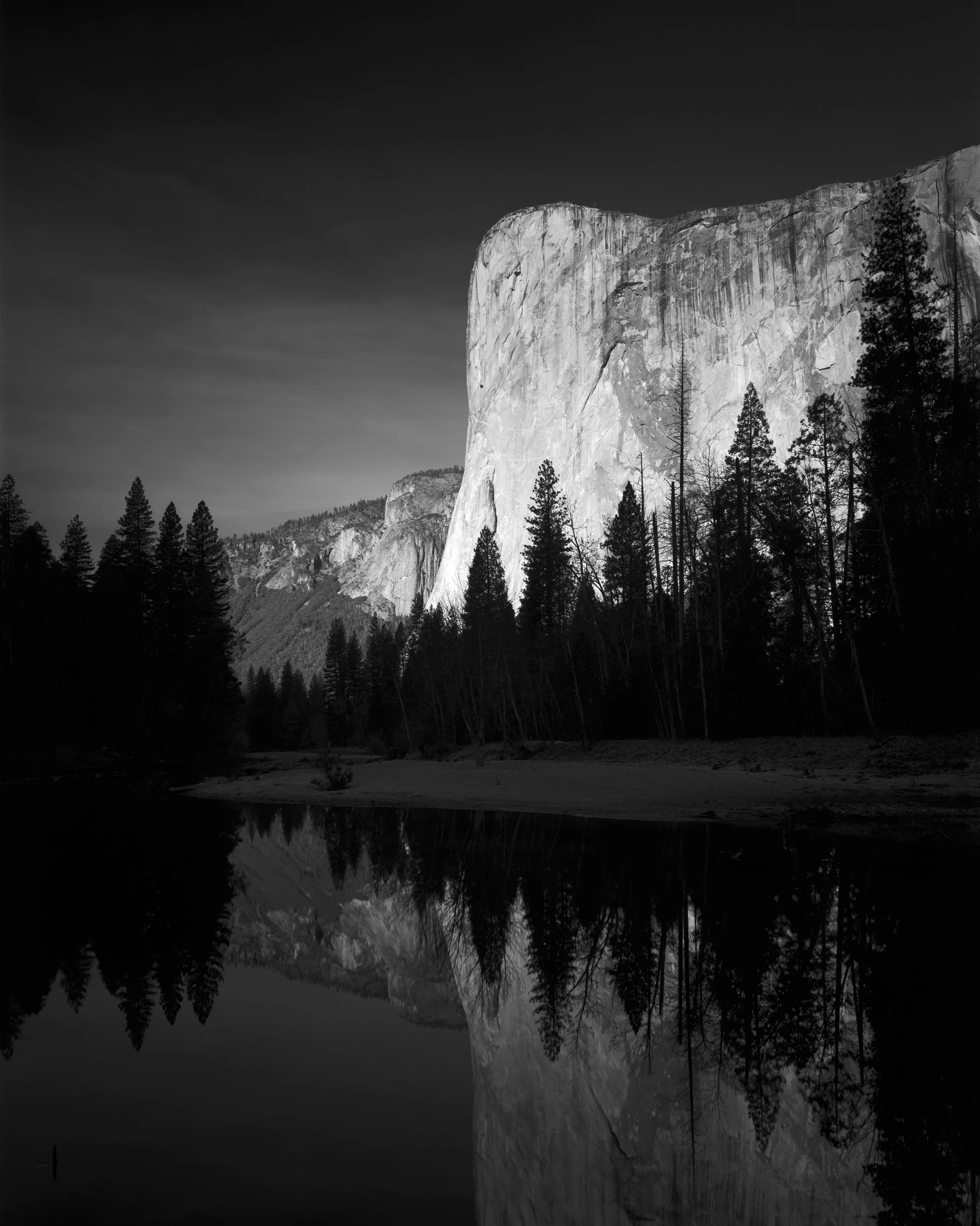 The Celebration of Bright and Bold