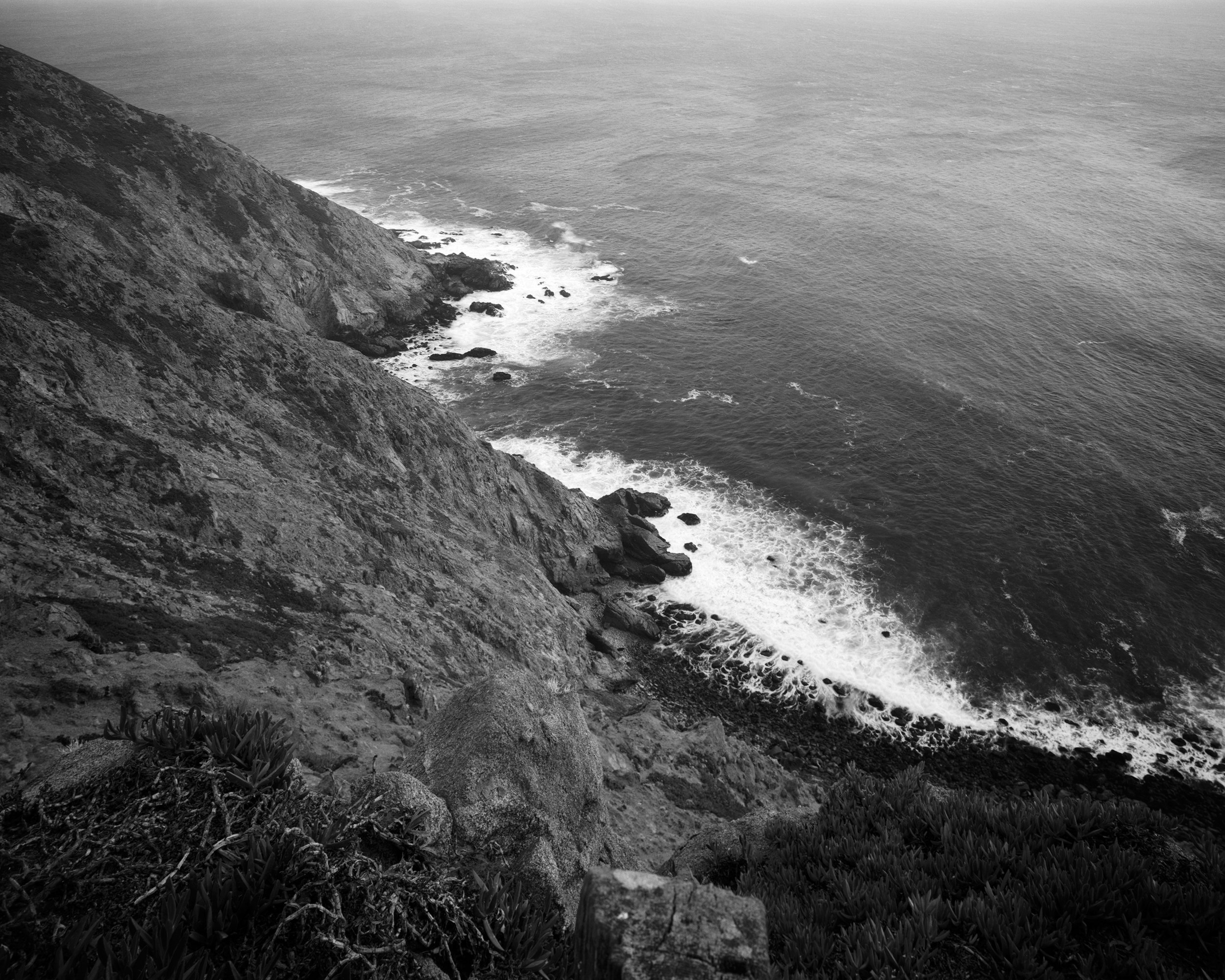 Along Coastlines, We Fly