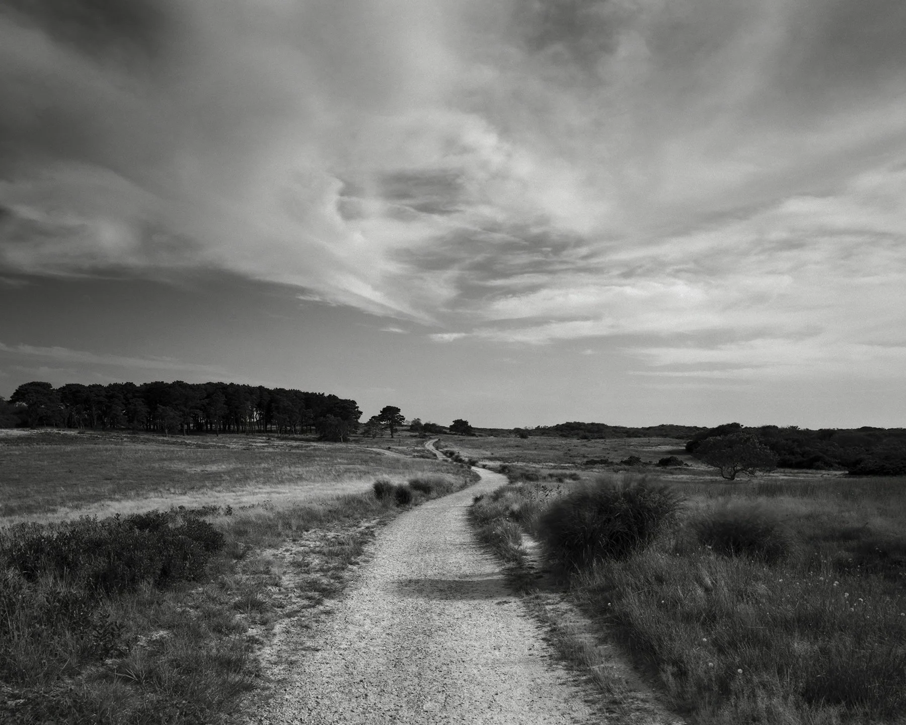 Come, See Where It Goes