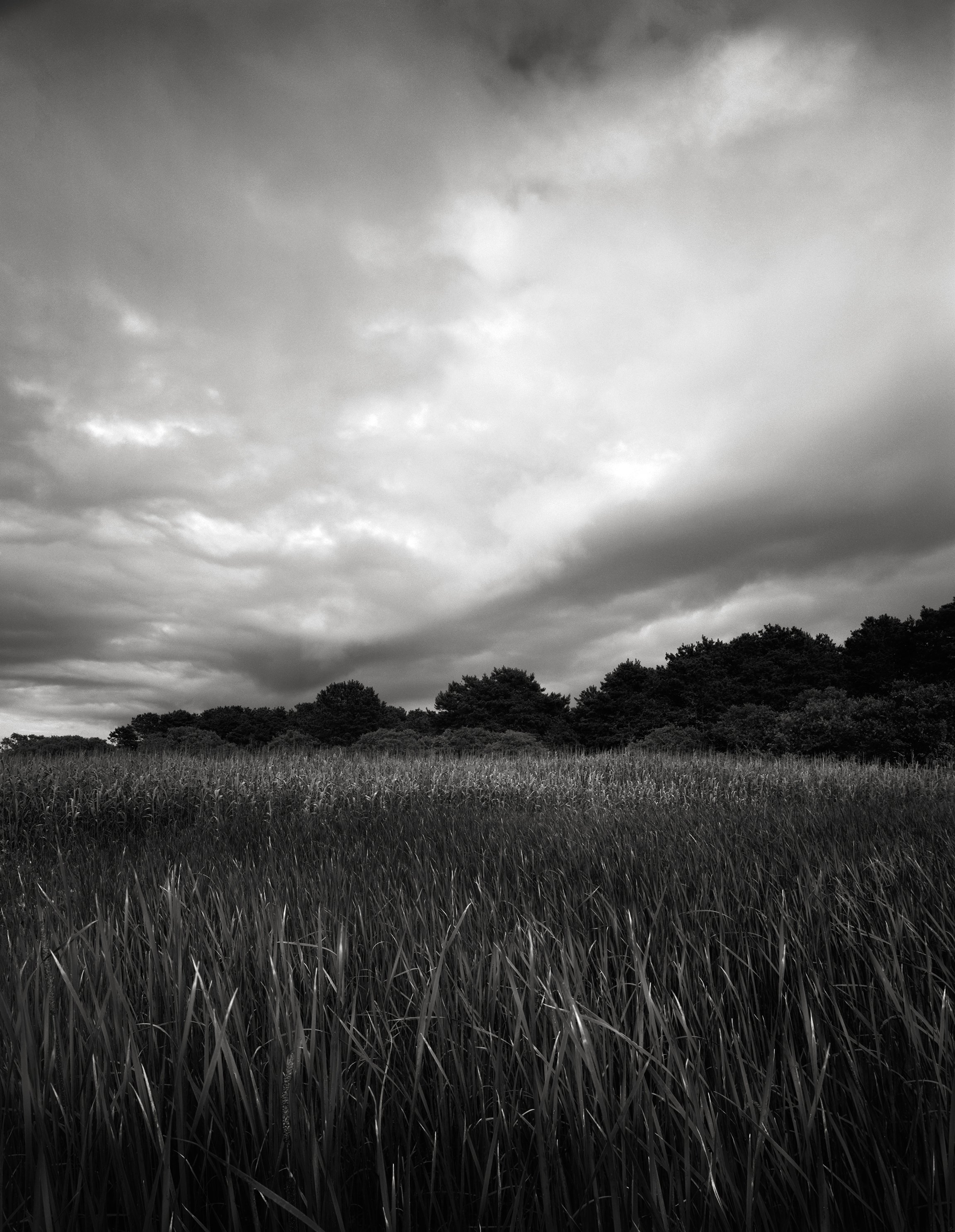 Watching Spirit Paint