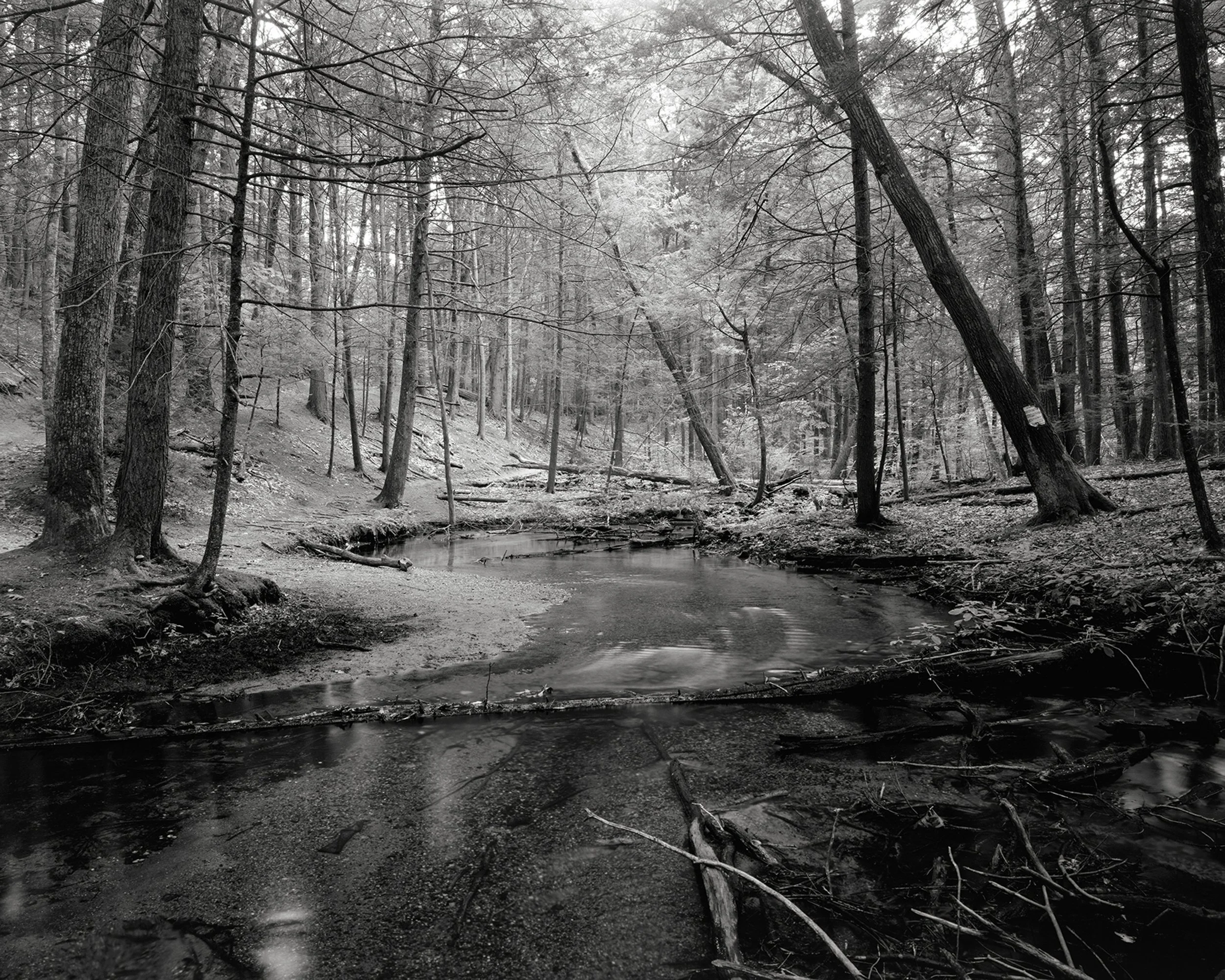 Let Back In The Light