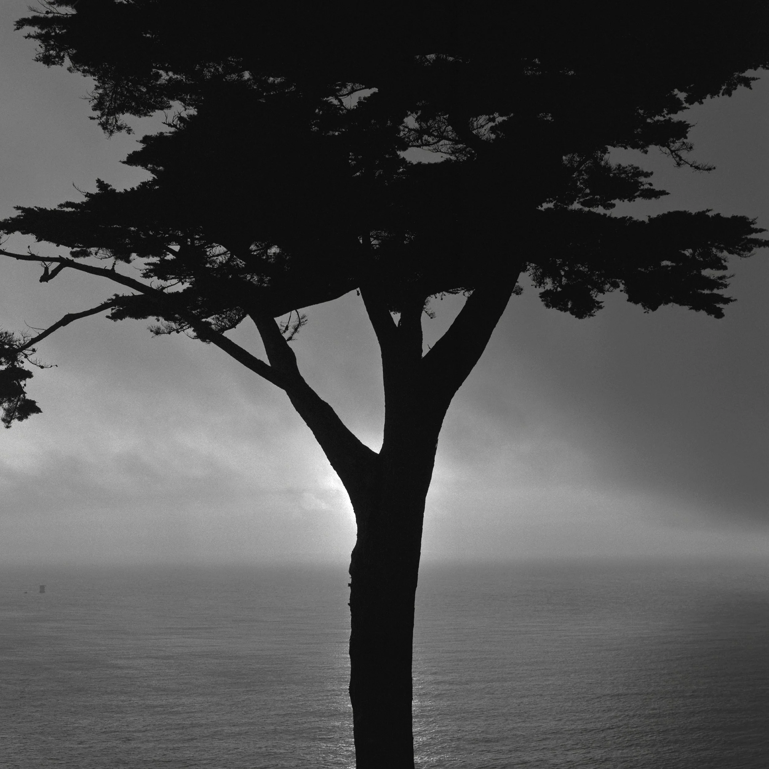 To Those That Came Before