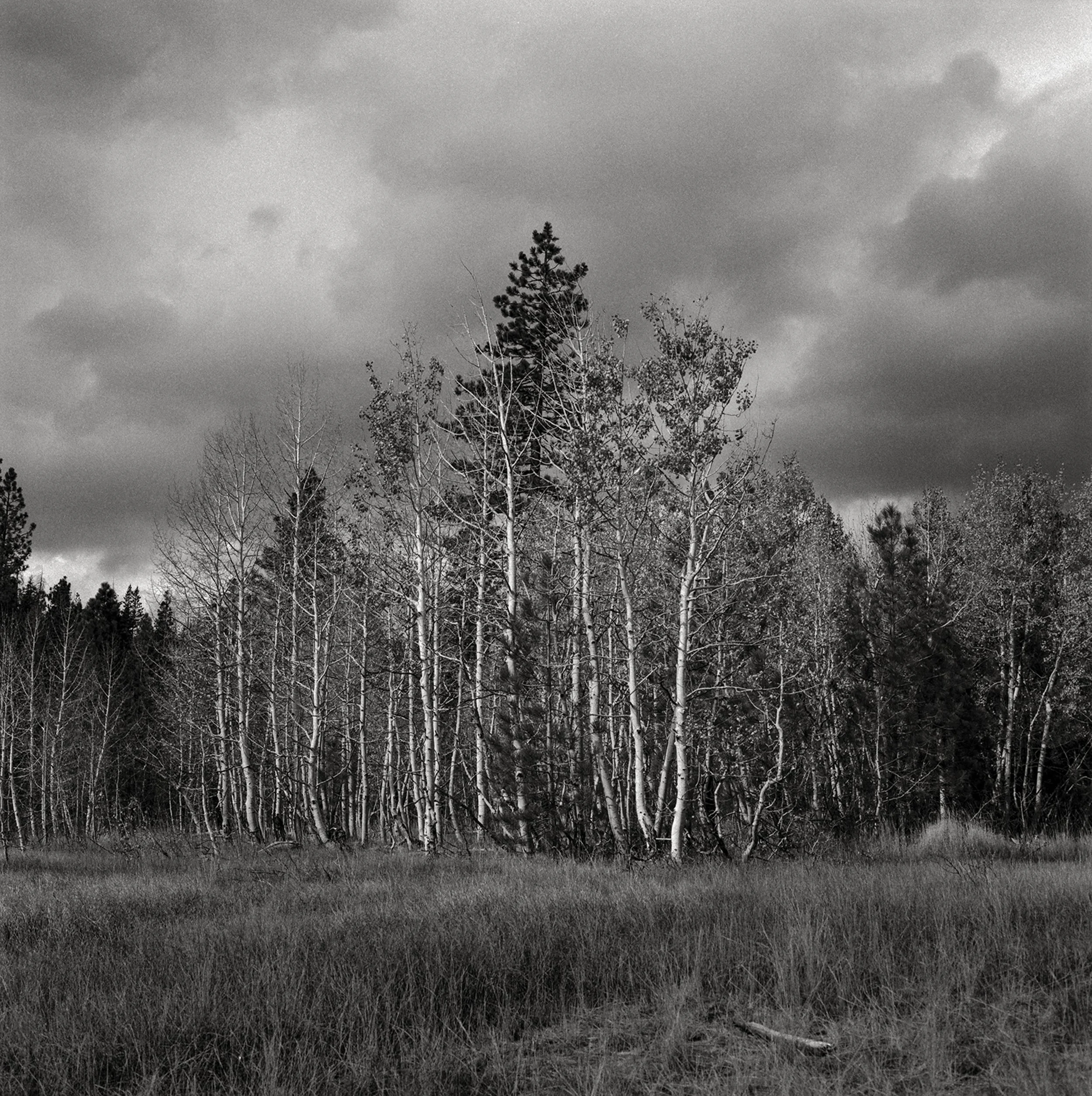 The Ones Who Stand By