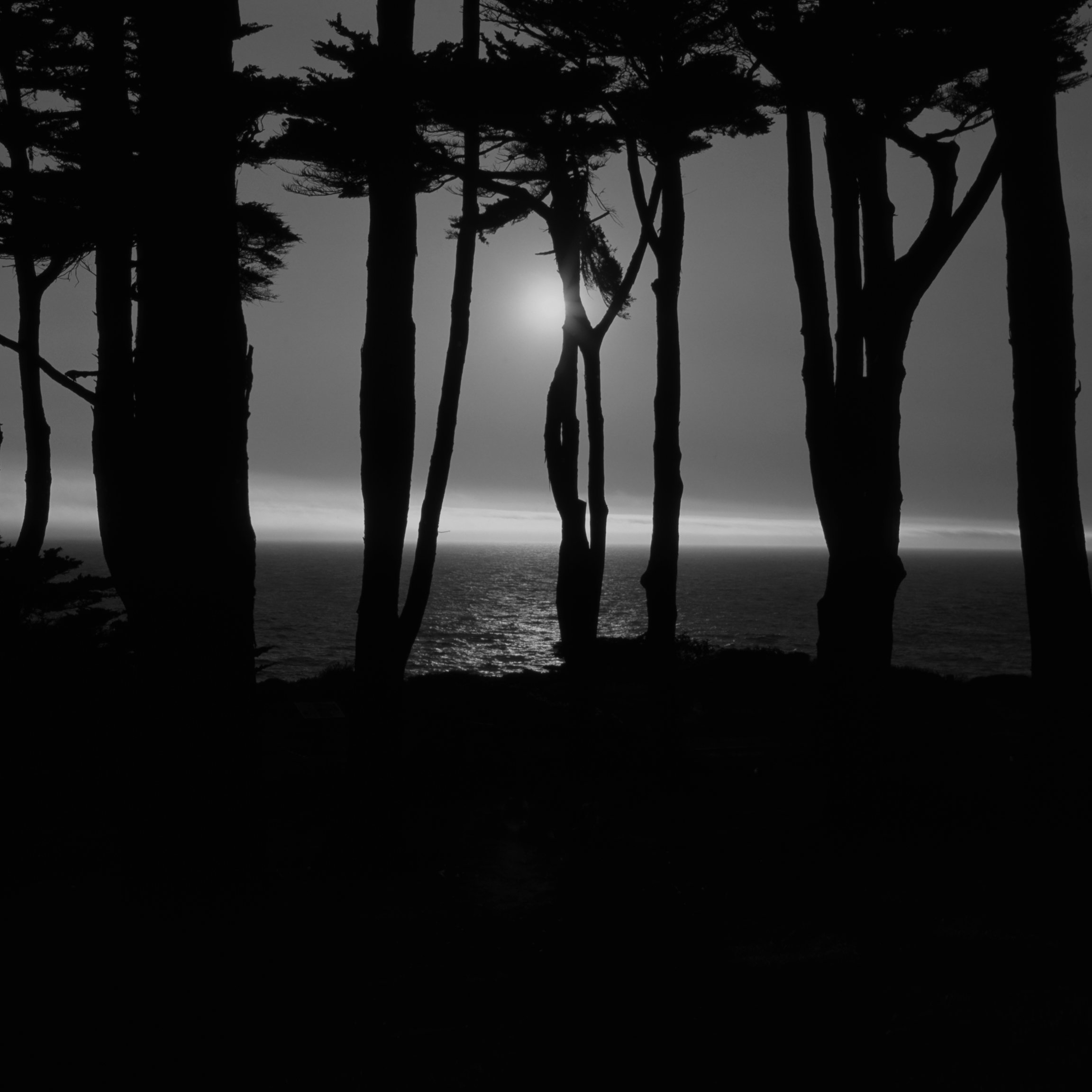 The Elegance of Strength