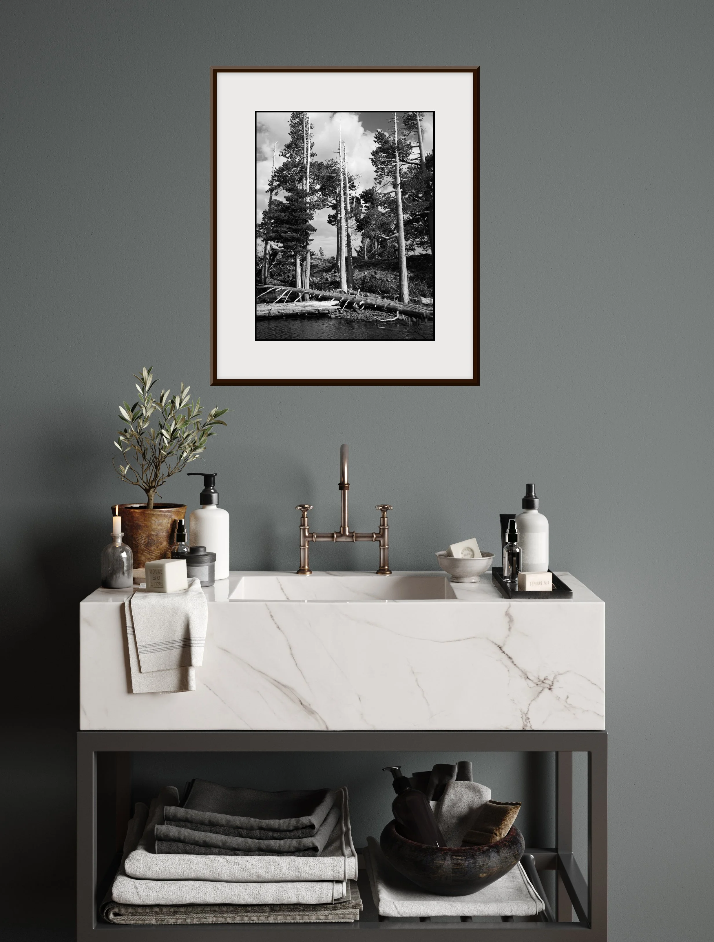 2024-09-07 - Desolation Wilderness, Susie Lake, Tall Bare Pines, Portrait - 4 Web Final (Canvas).jpg