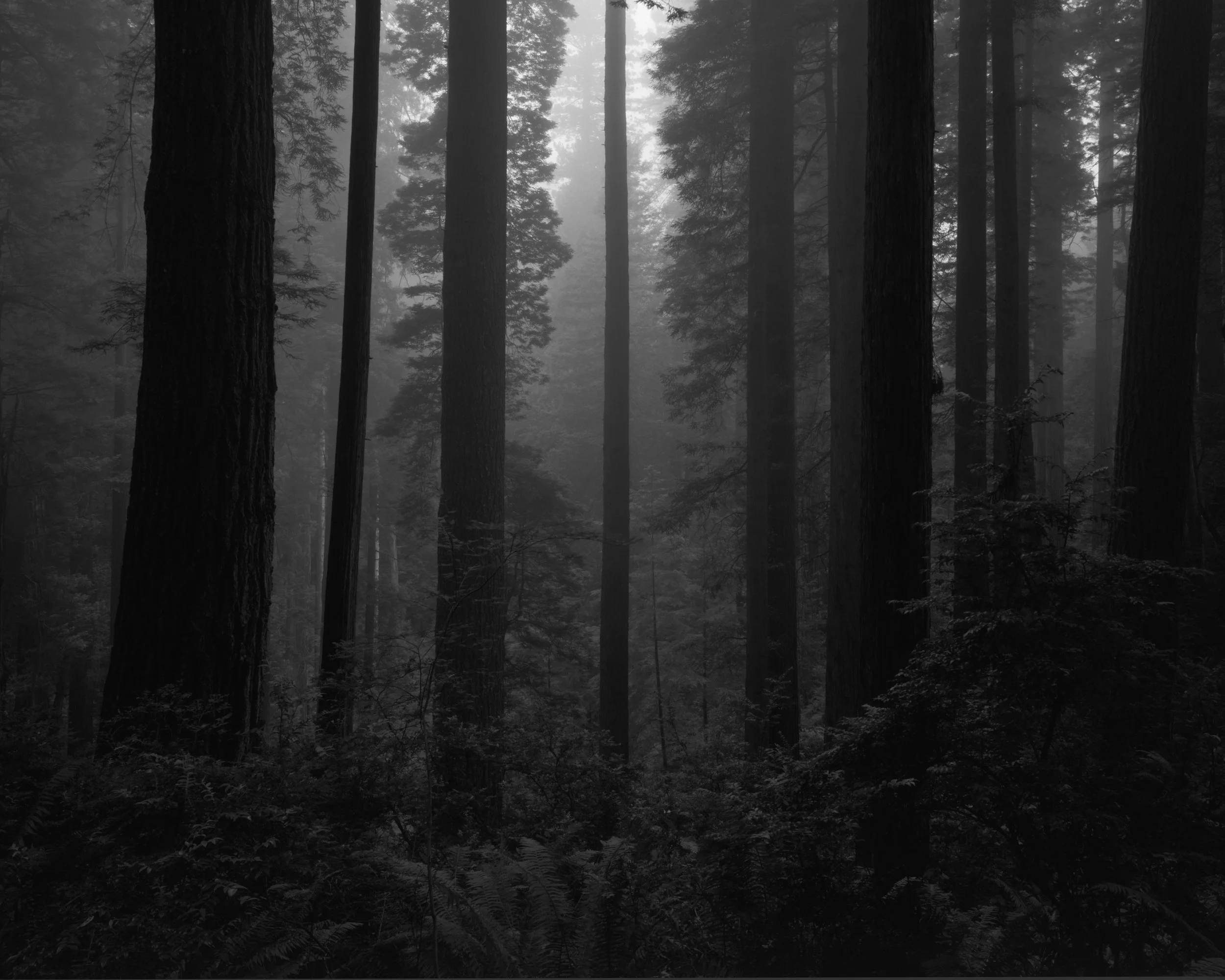 All That Is That We Cannot See